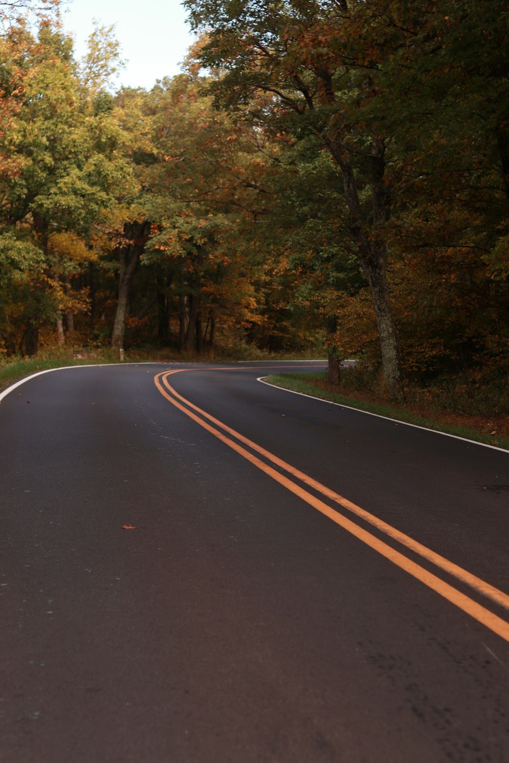 an empty road in the middle of a wooded area