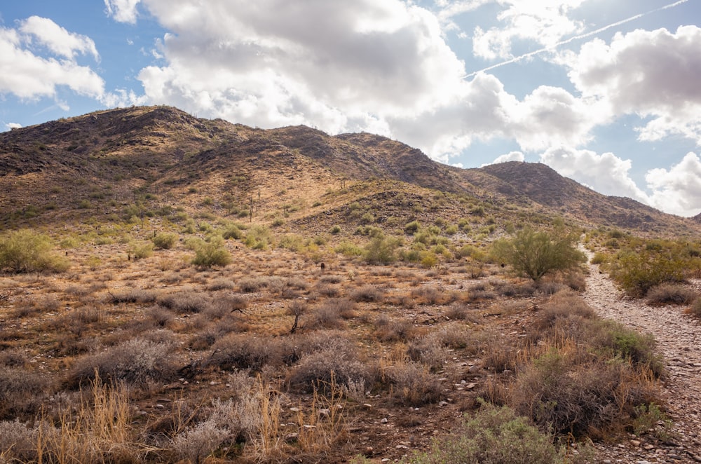 a dirt path in the middle of a desert