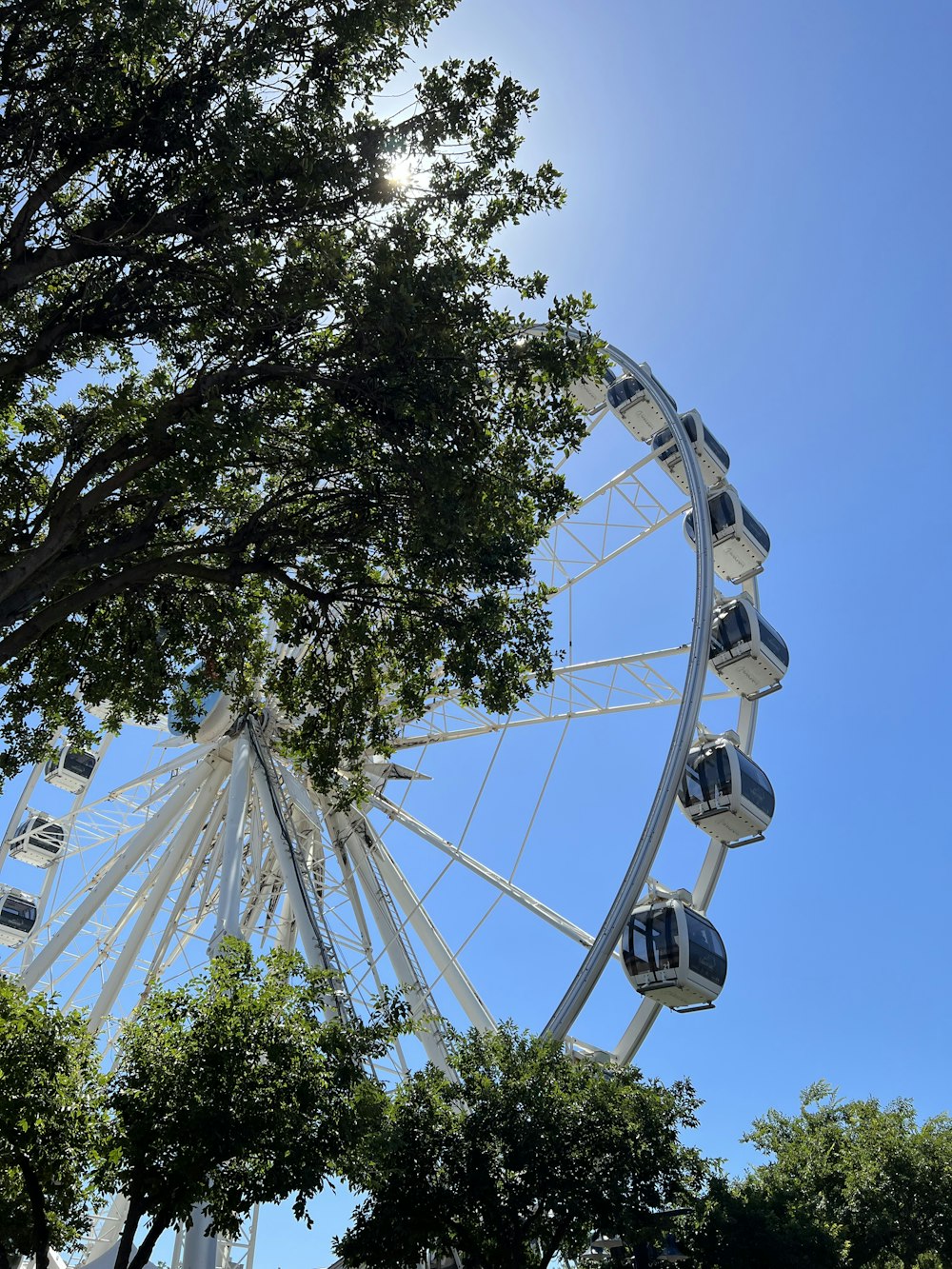 a large ferris wheel sitting next to a tree