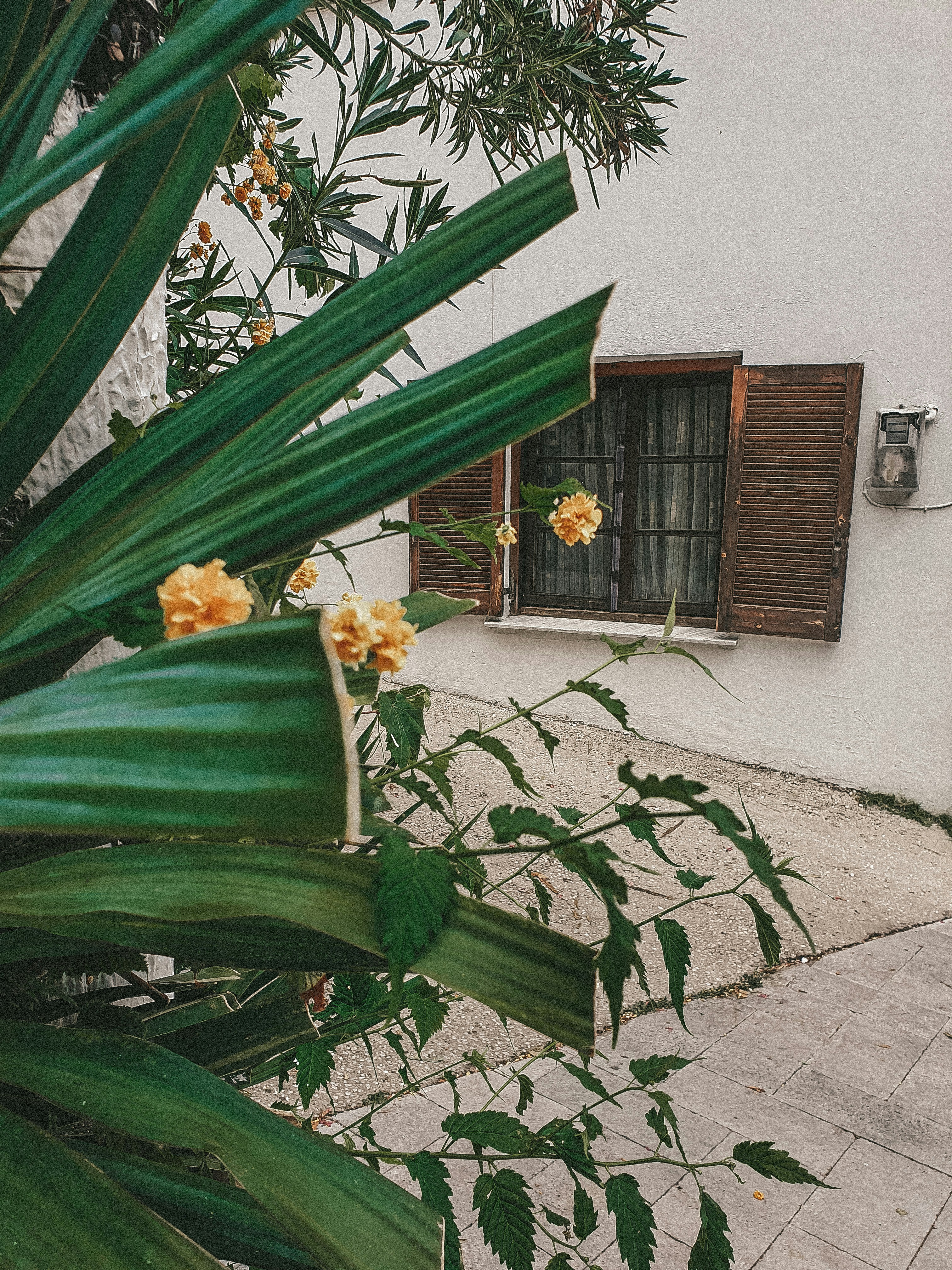 Photo by nasteagangal