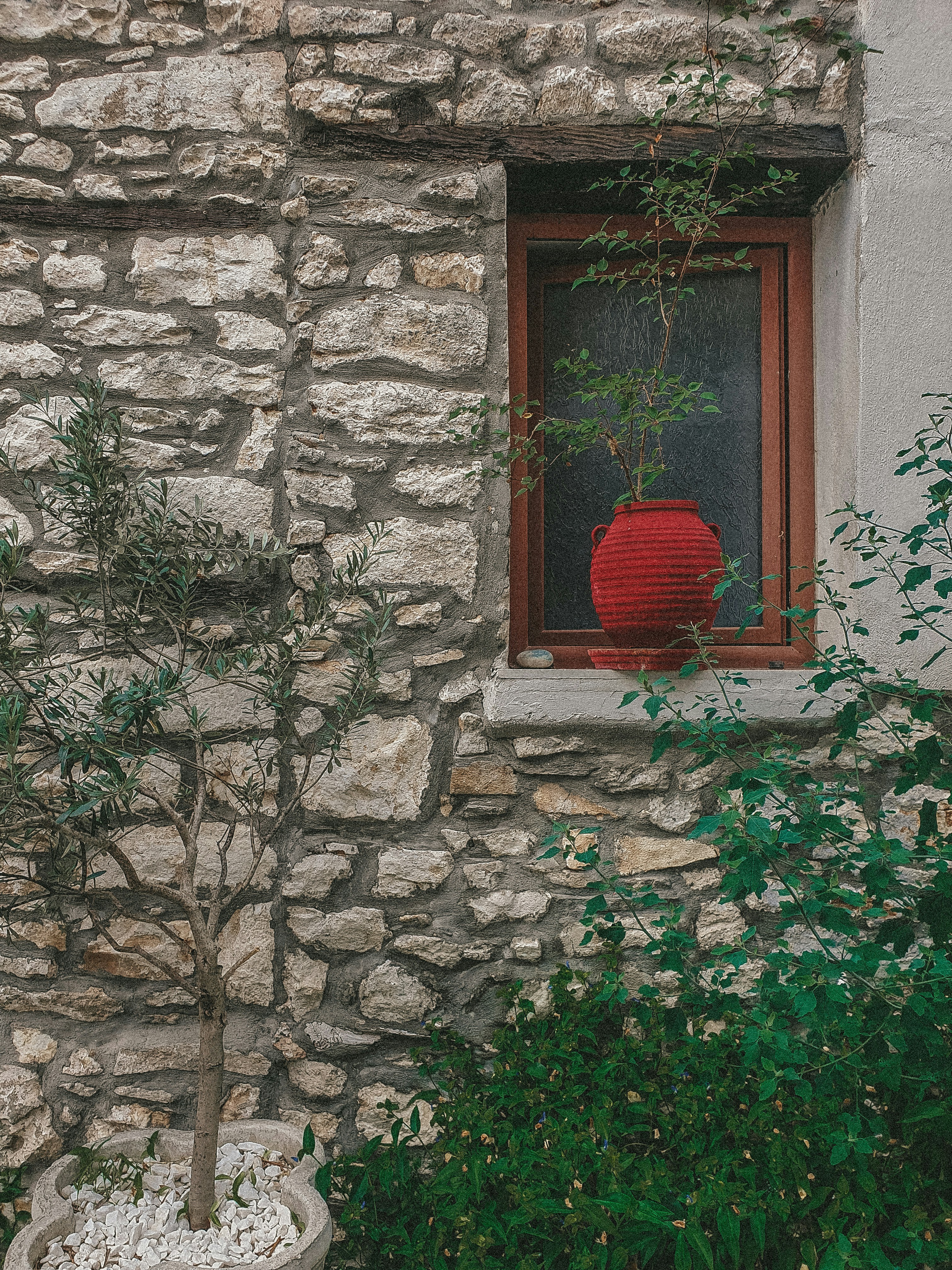 Photo by nasteagangal