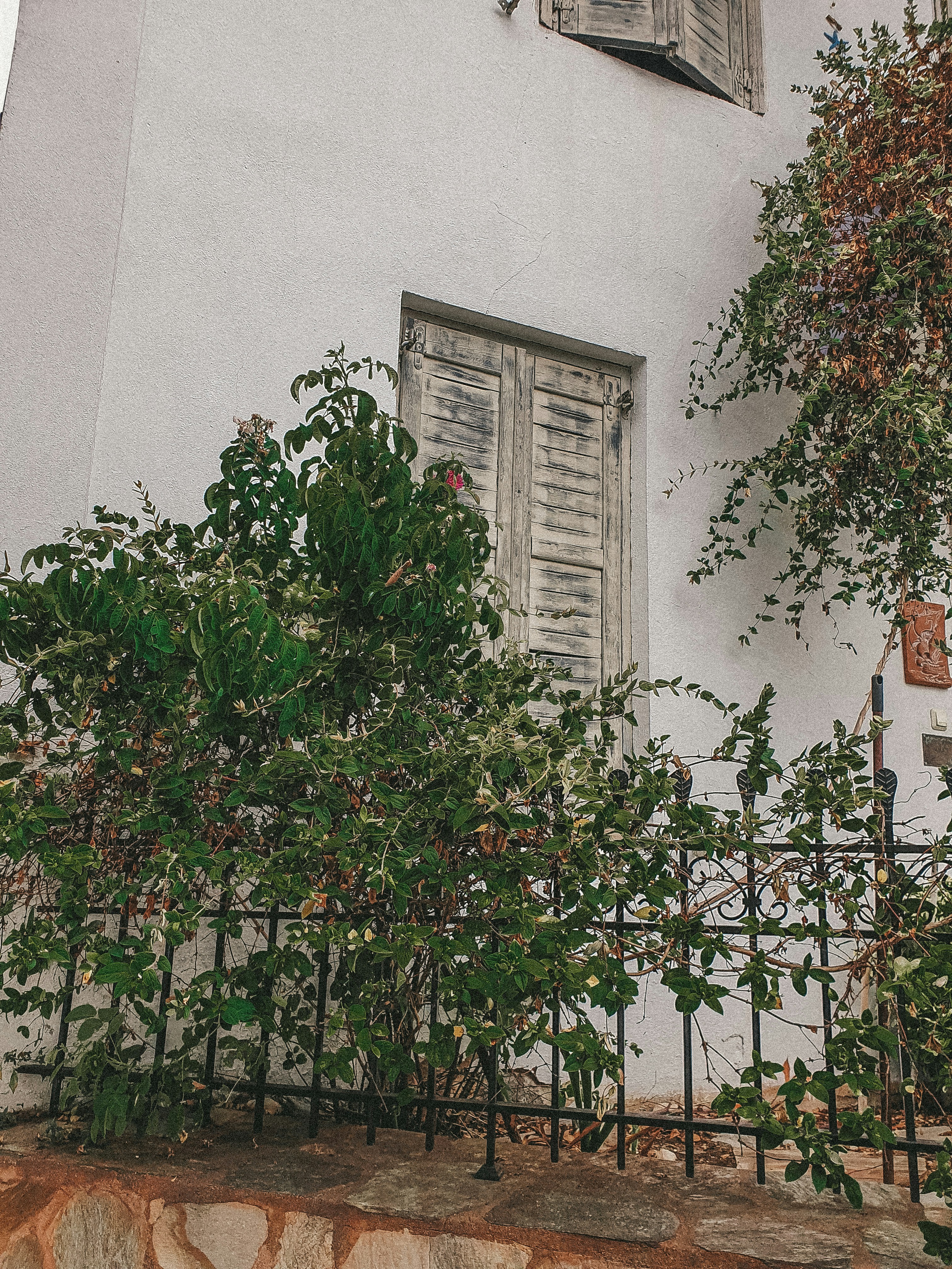 Photo by nasteagangal