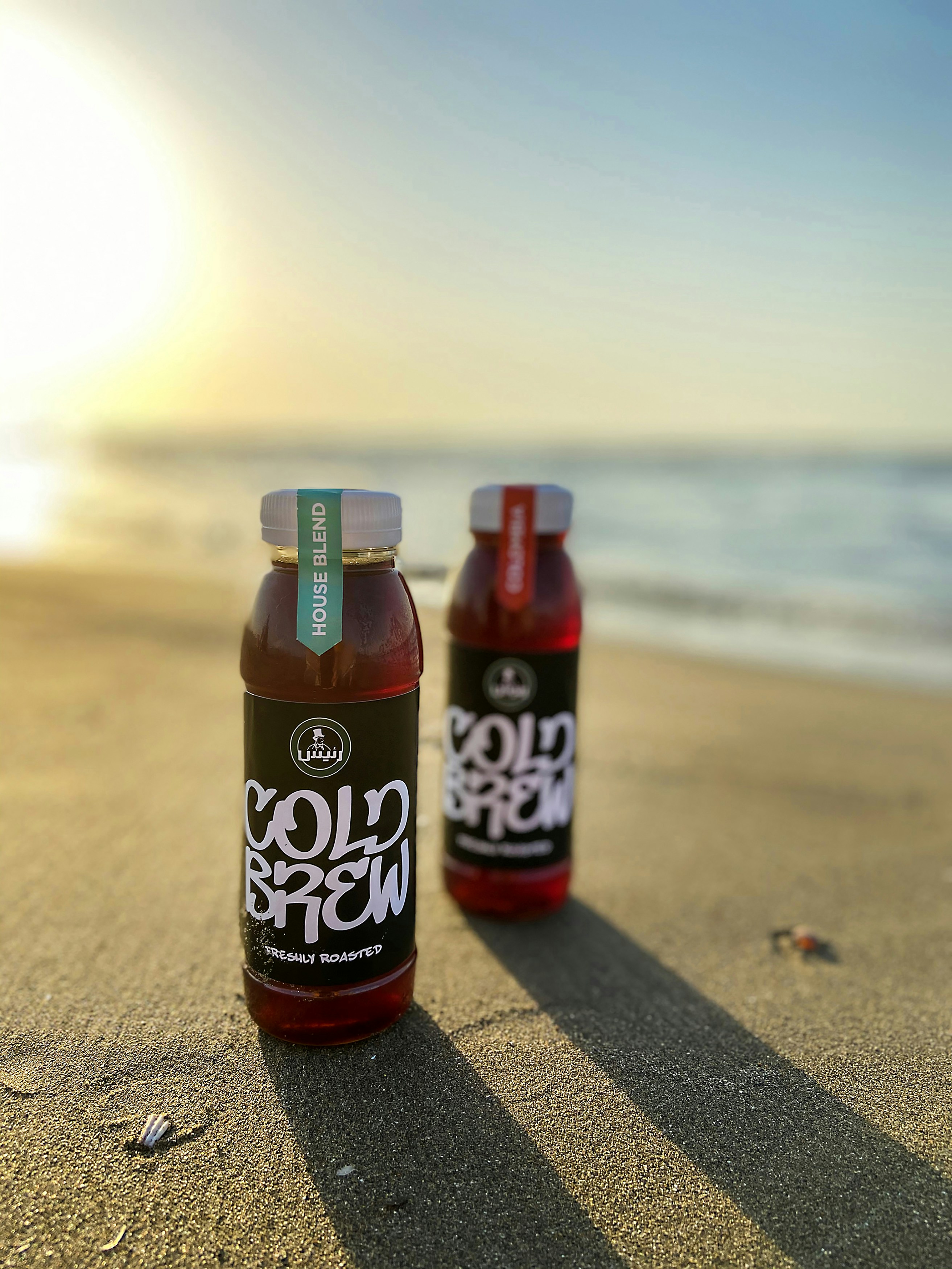 Quelques bouteilles assises au sommet d’une plage de sable