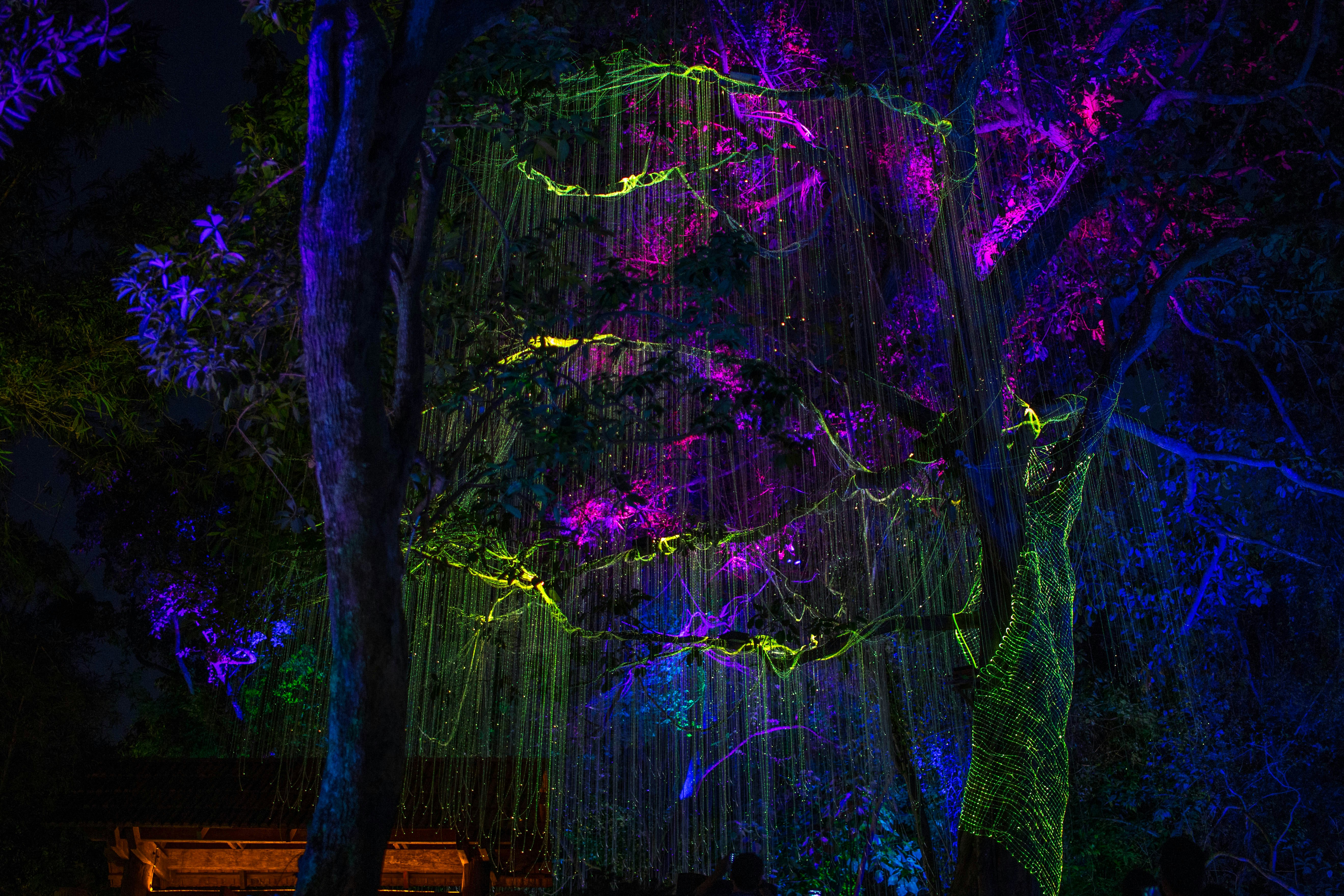 Enchanted Forest Tee