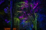 Immersive 3D film still capturing a magical forest scene with glowing creatures.
