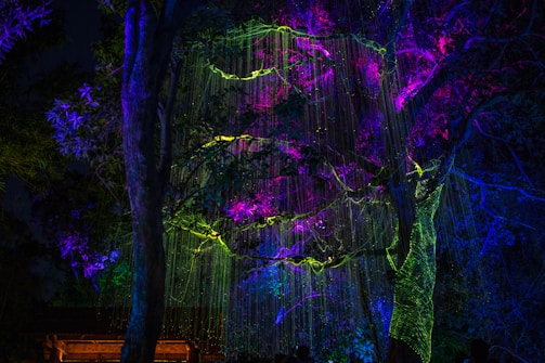 A vibrant 3D scene of a fantasy forest with glowing plants.