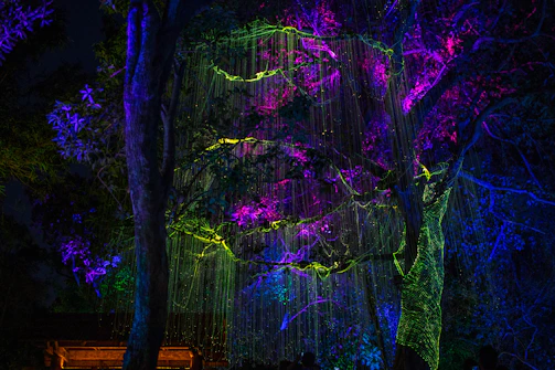 A dynamic scene from a fantasy series with magical creatures and neon-lit forests.