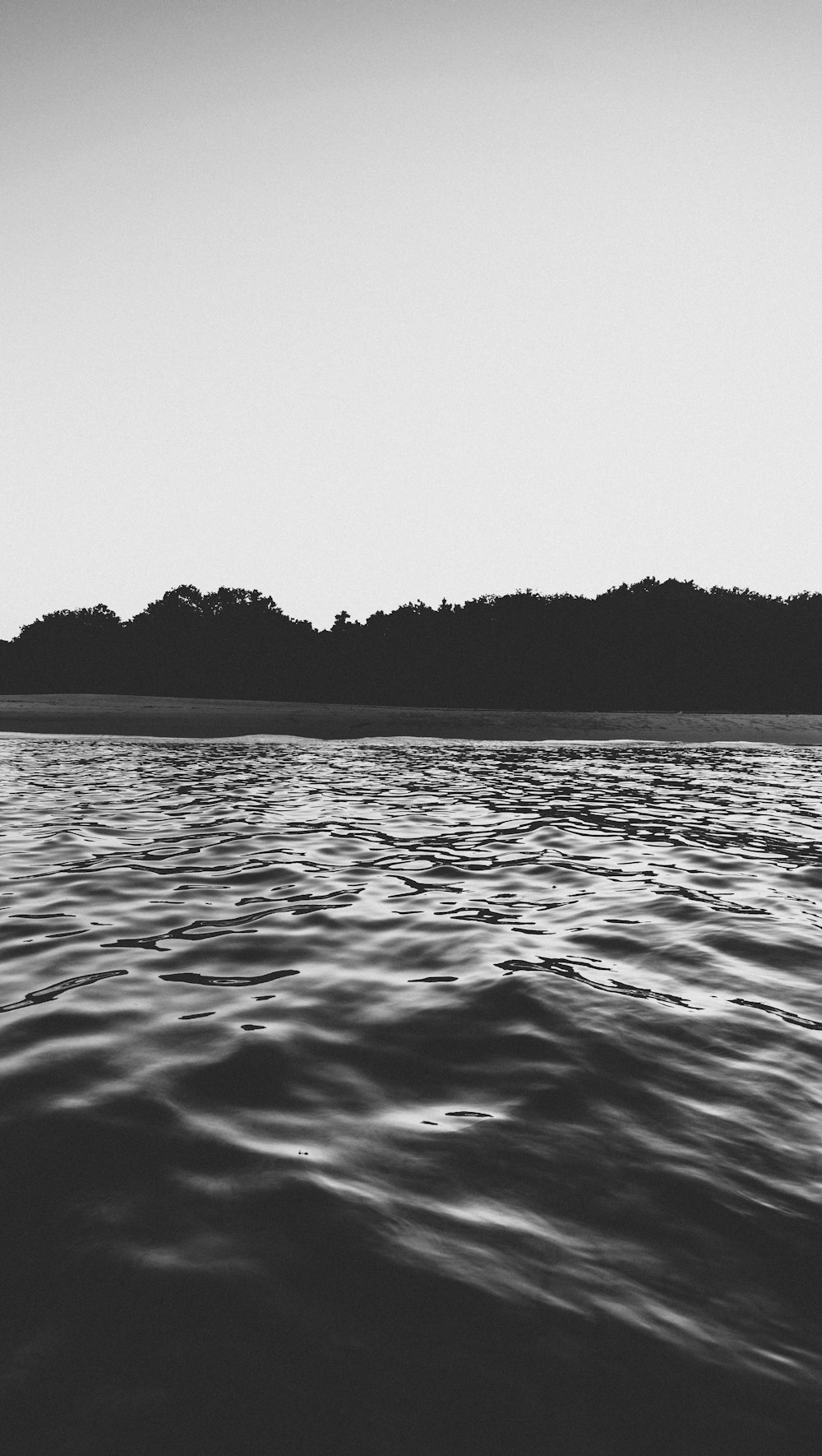 Una foto en blanco y negro de un cuerpo de agua