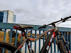 A bicycle with the brand name BASIS prominently displayed on the frame is propped against a blue railing of a bridge. In the background, there are modern multi-story buildings with reflective glass windows and a river or large body of water surrounded by trees with autumn foliage.