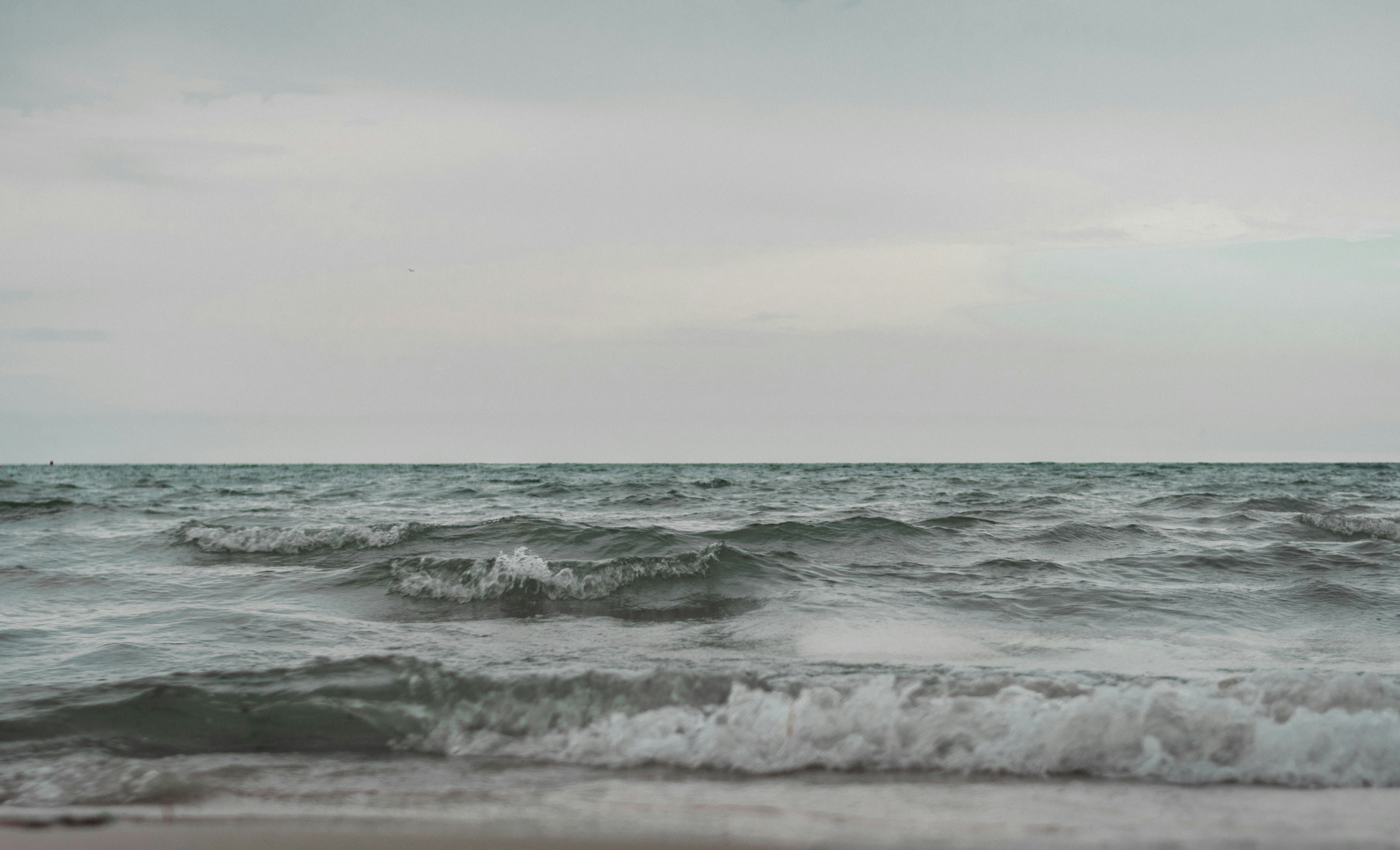 Photo by valerie_sidman