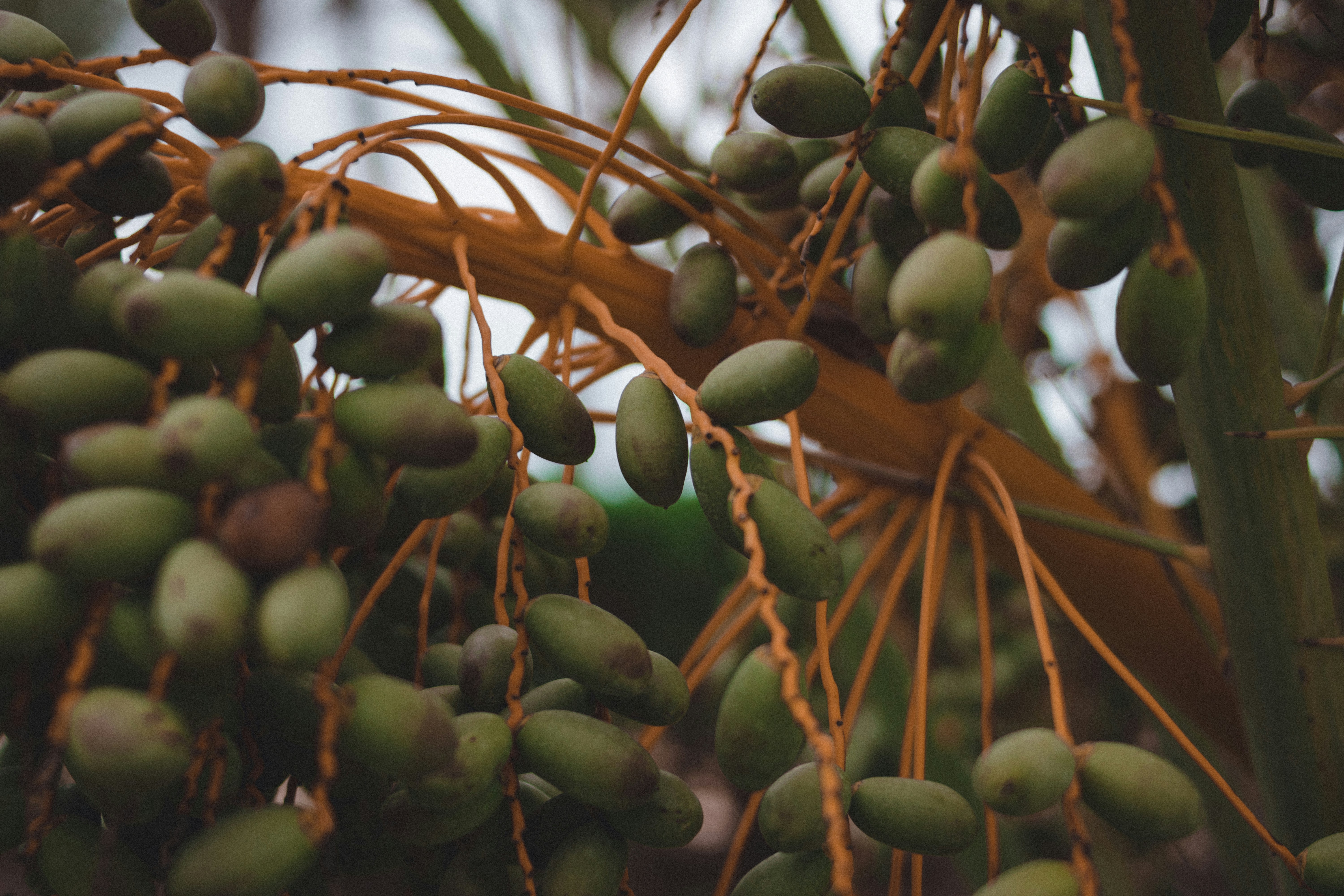 Photo by valerie_sidman