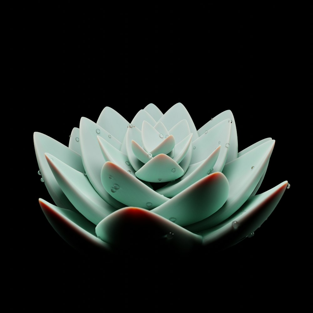 a close up of a flower on a black background