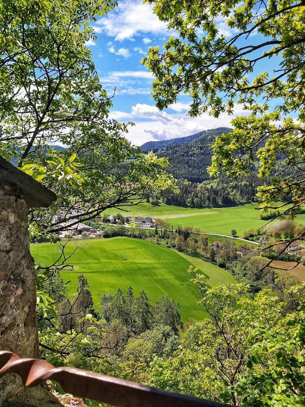 a scenic view of a lush green valley