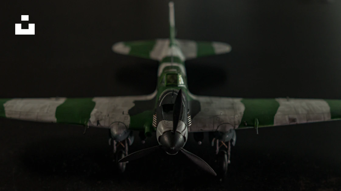339474_5 339474_5
