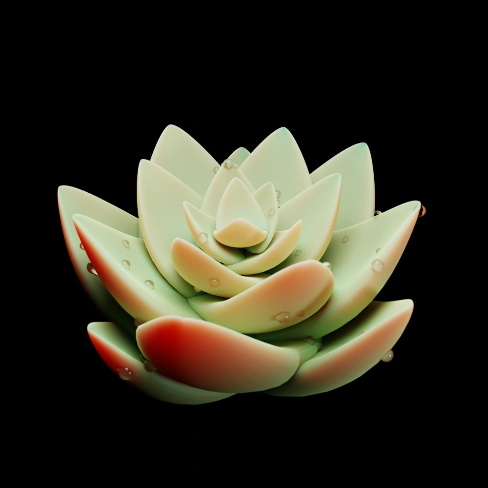 a large white flower sitting on top of a black surface