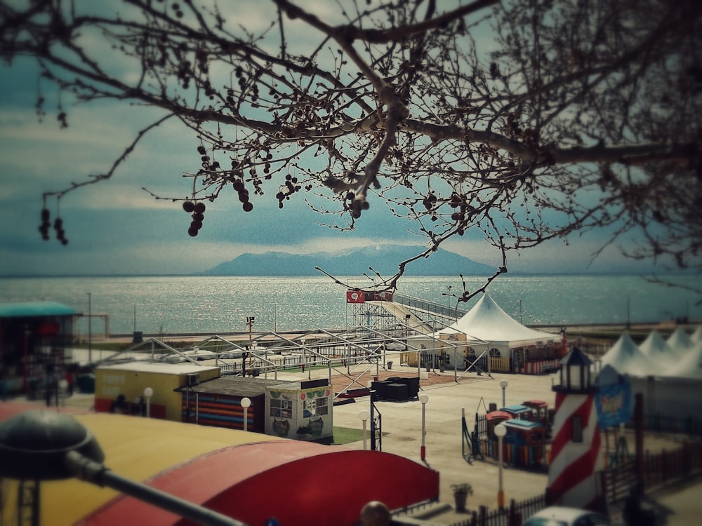 a view of a carnival with a large body of water in the background