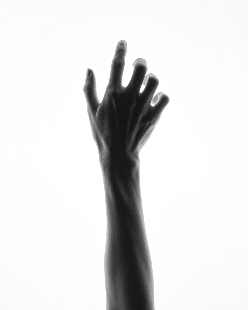 a black and white photo of a hand reaching up