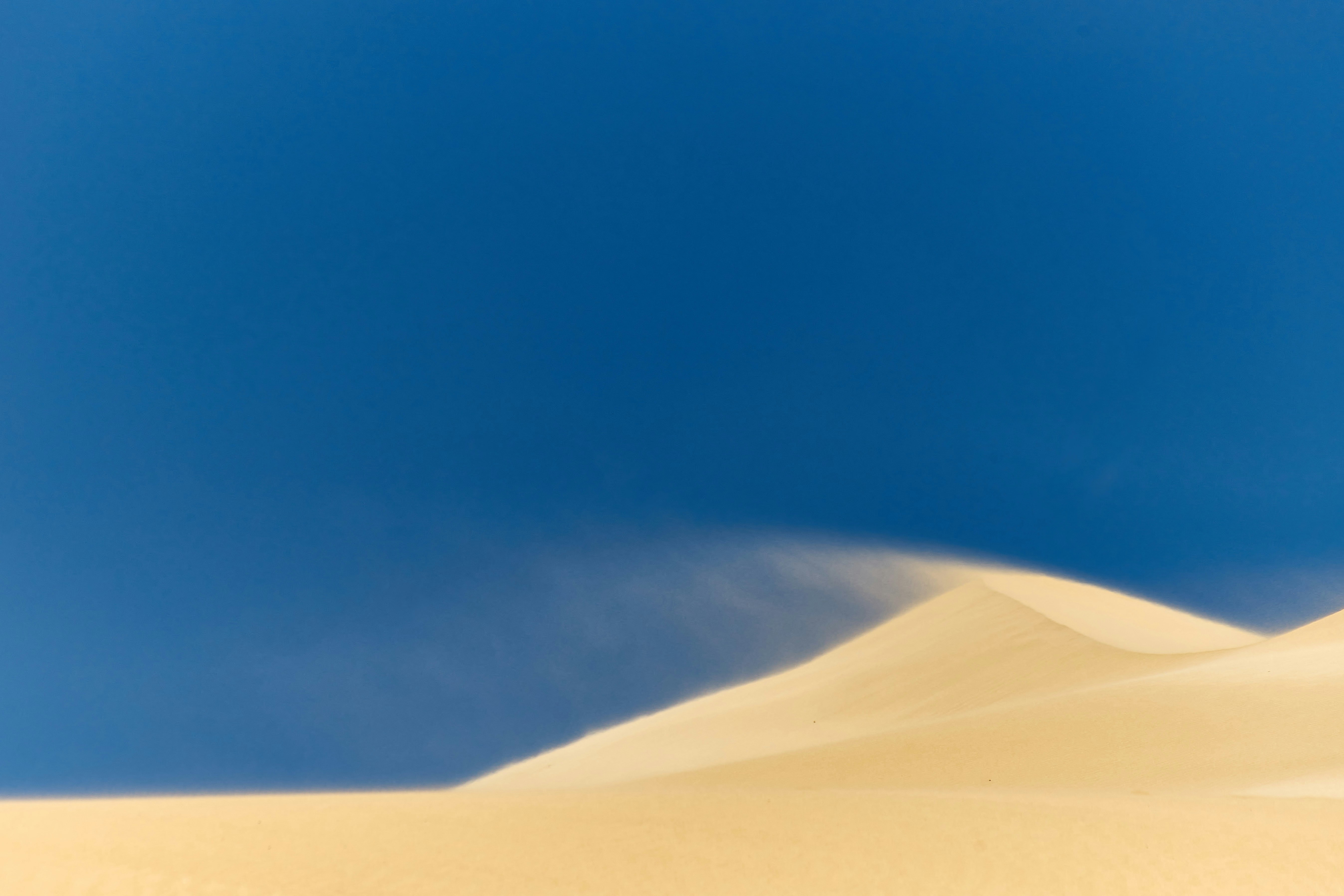 Photo by wolfgang_hasselmann