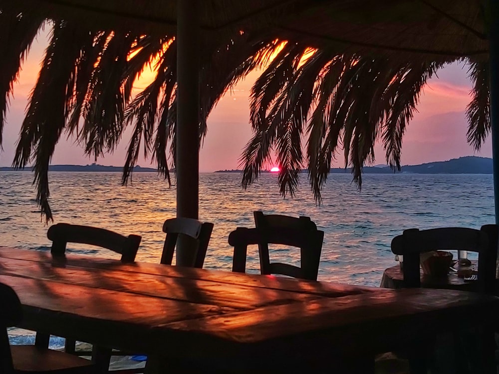 a wooden table sitting under a palm tree next to the ocean