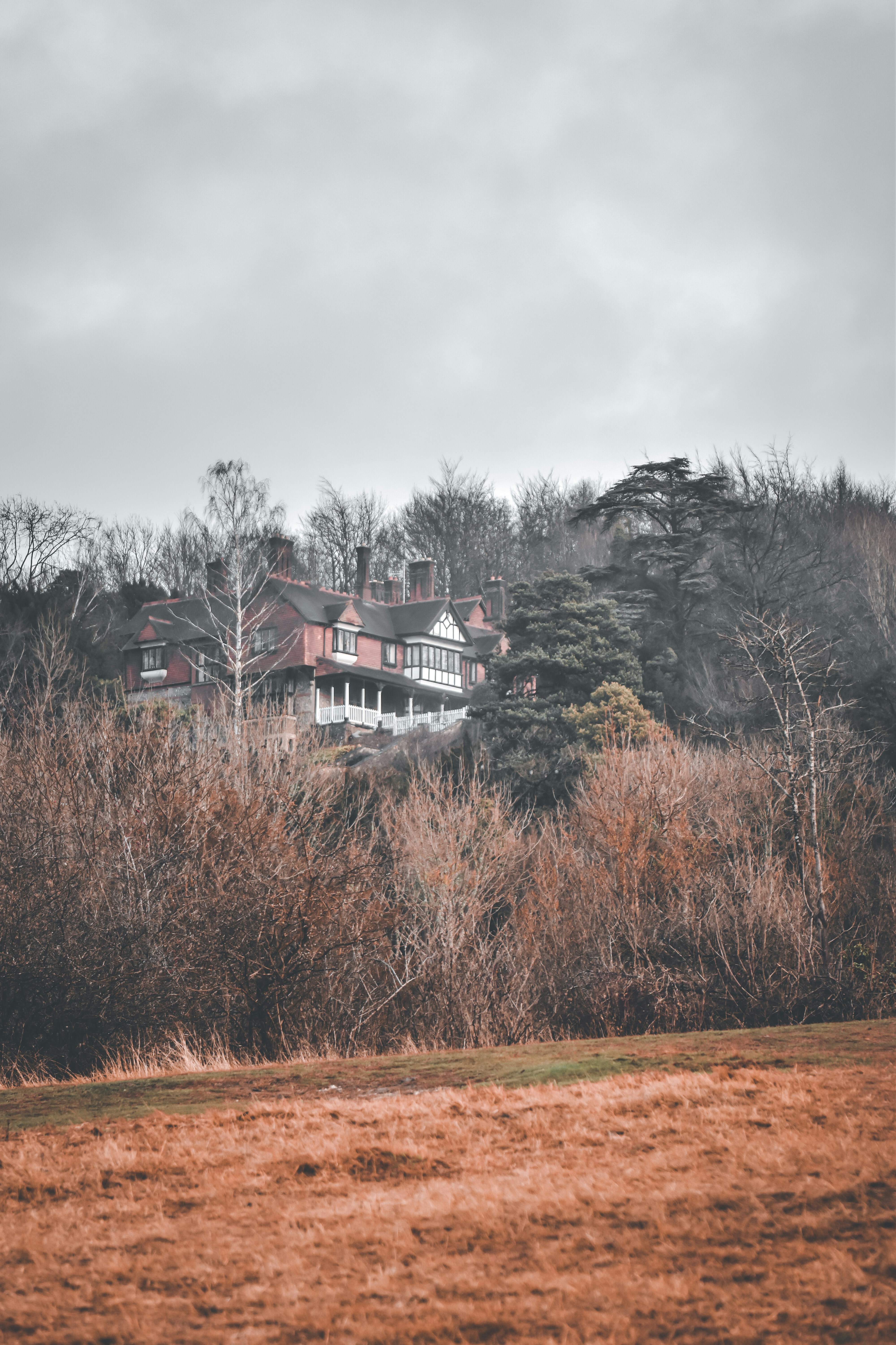 Photo by elliottmason