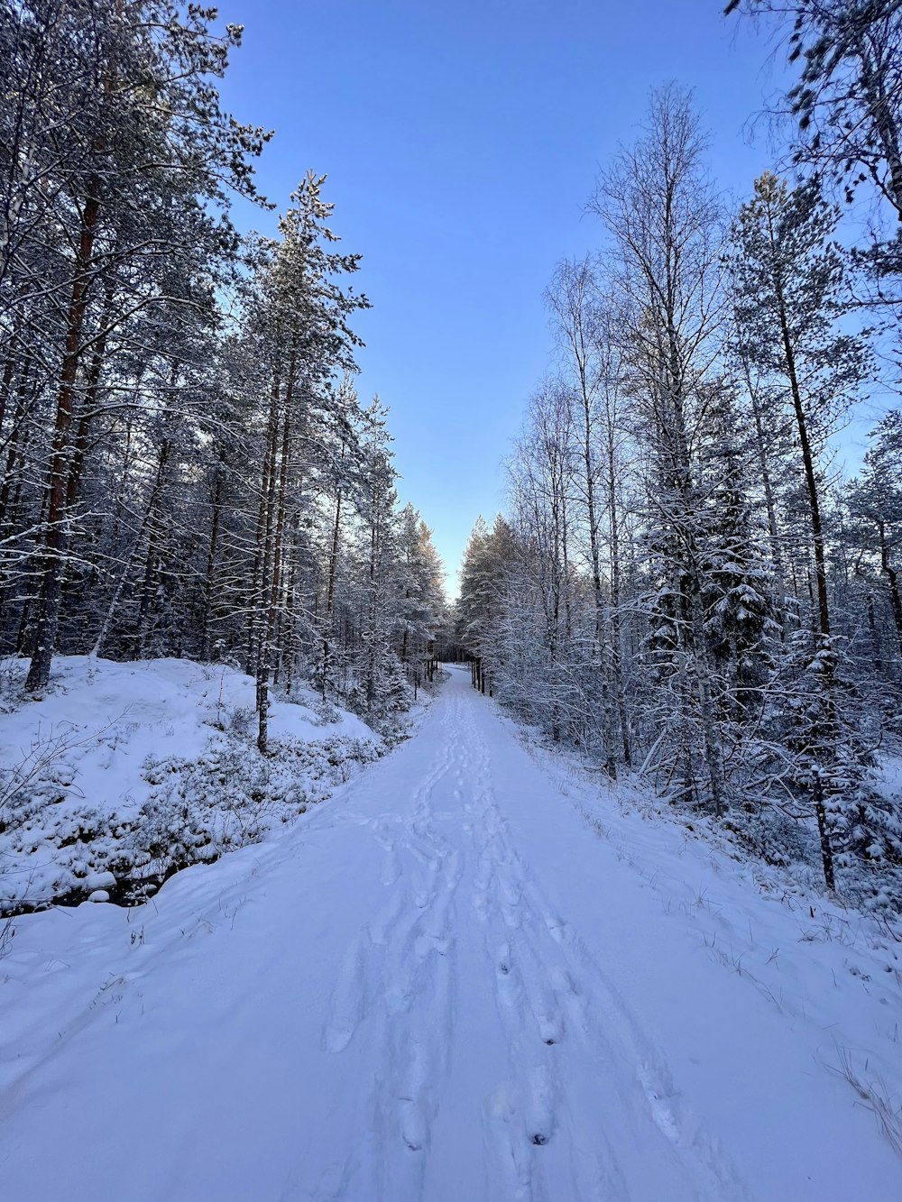 a snow covered road in the middle of a forest