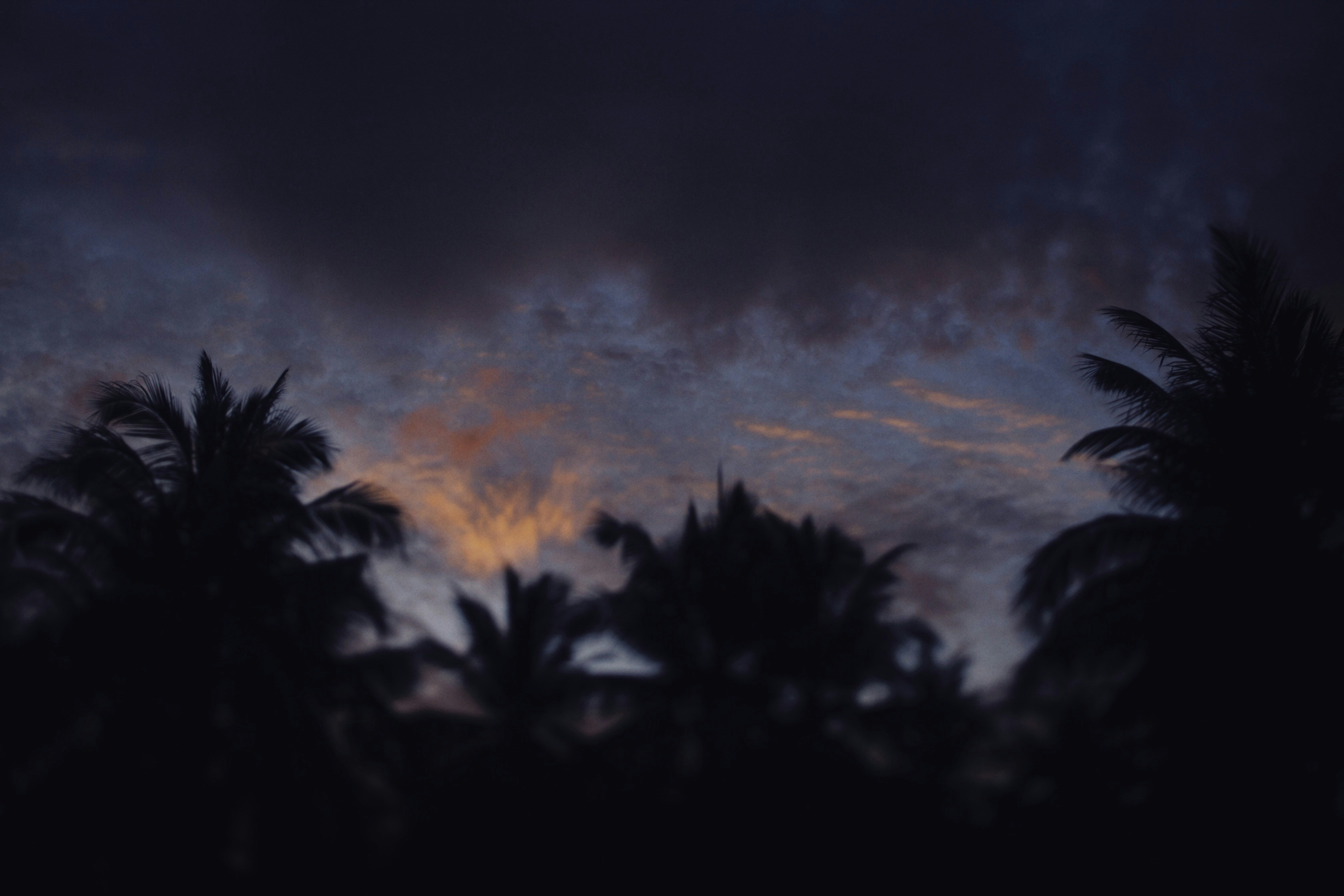 Photo by alexeydemidov