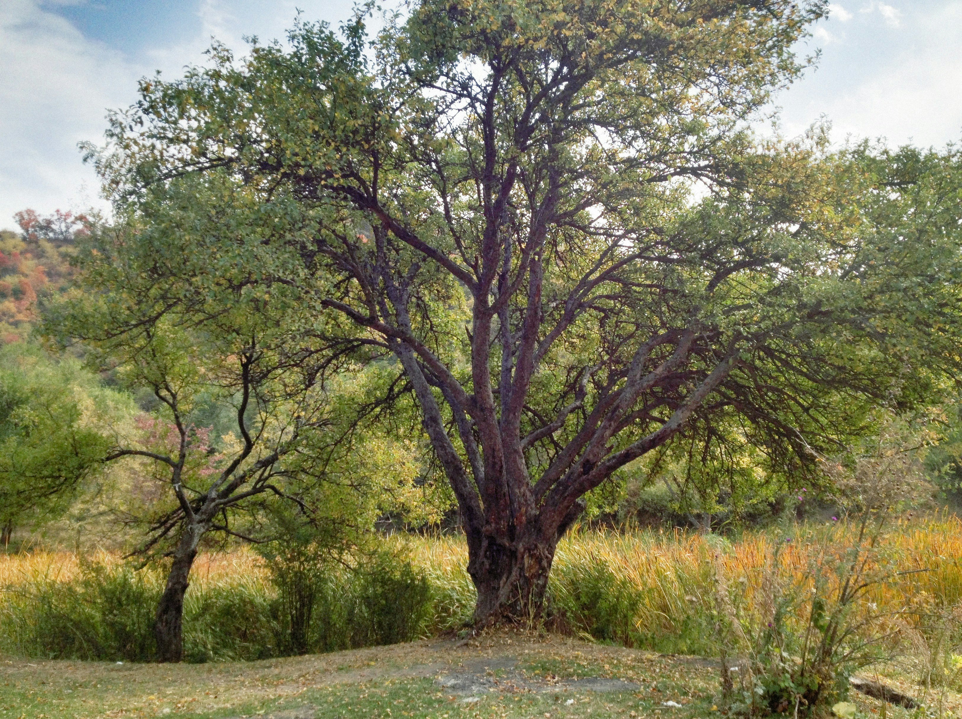 Photo by alexeydemidov