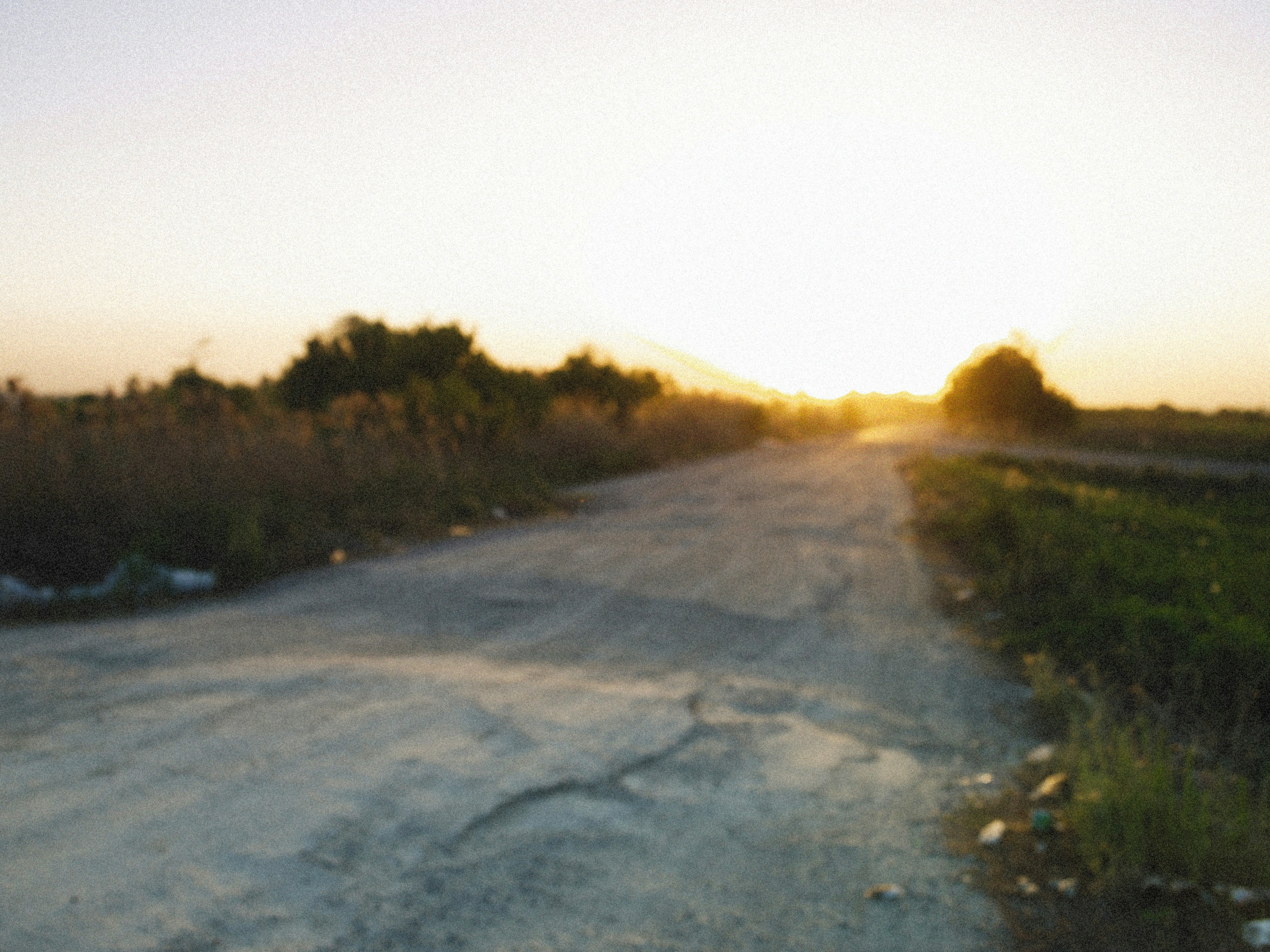 Photo by alexeydemidov