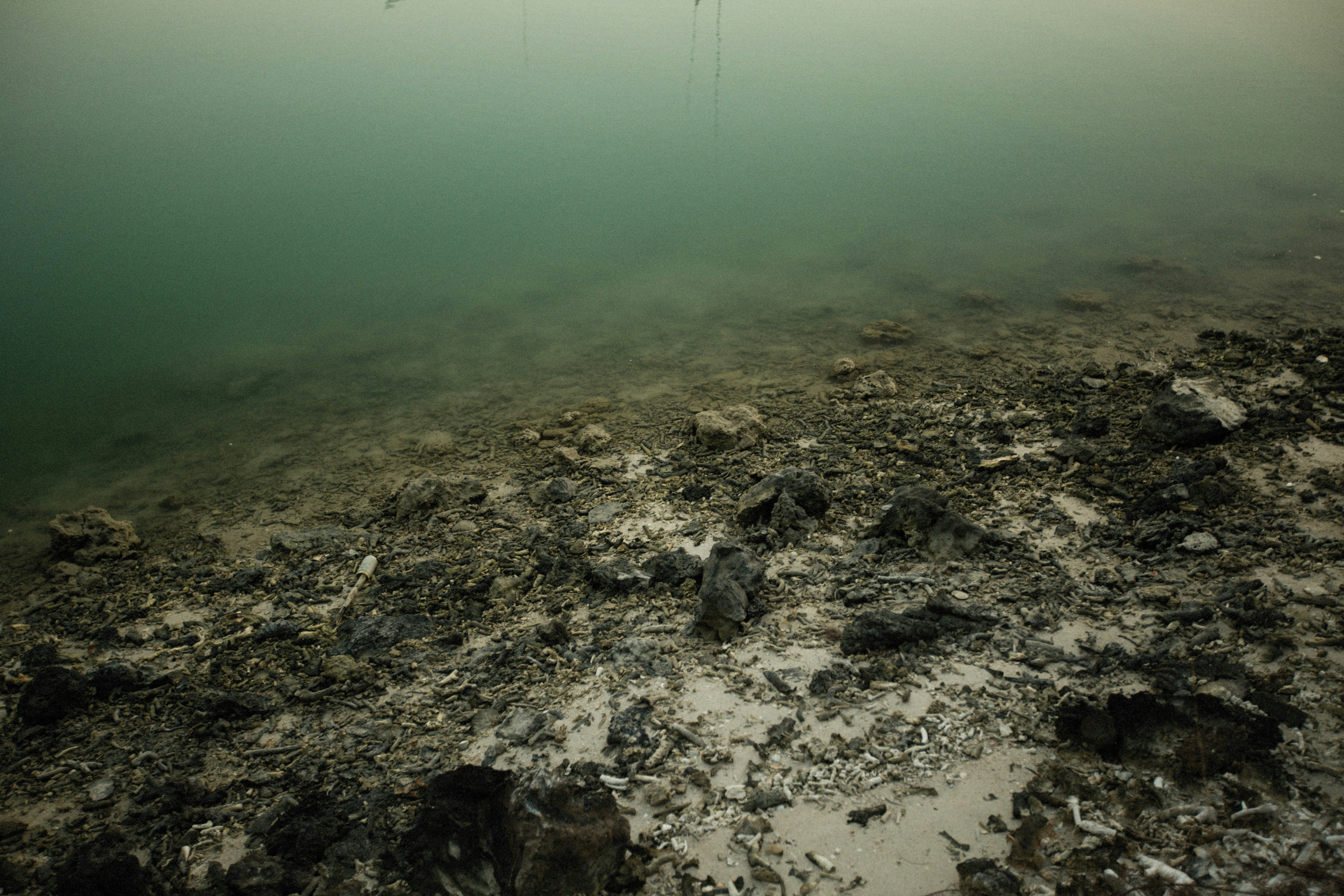 Photo by alexeydemidov