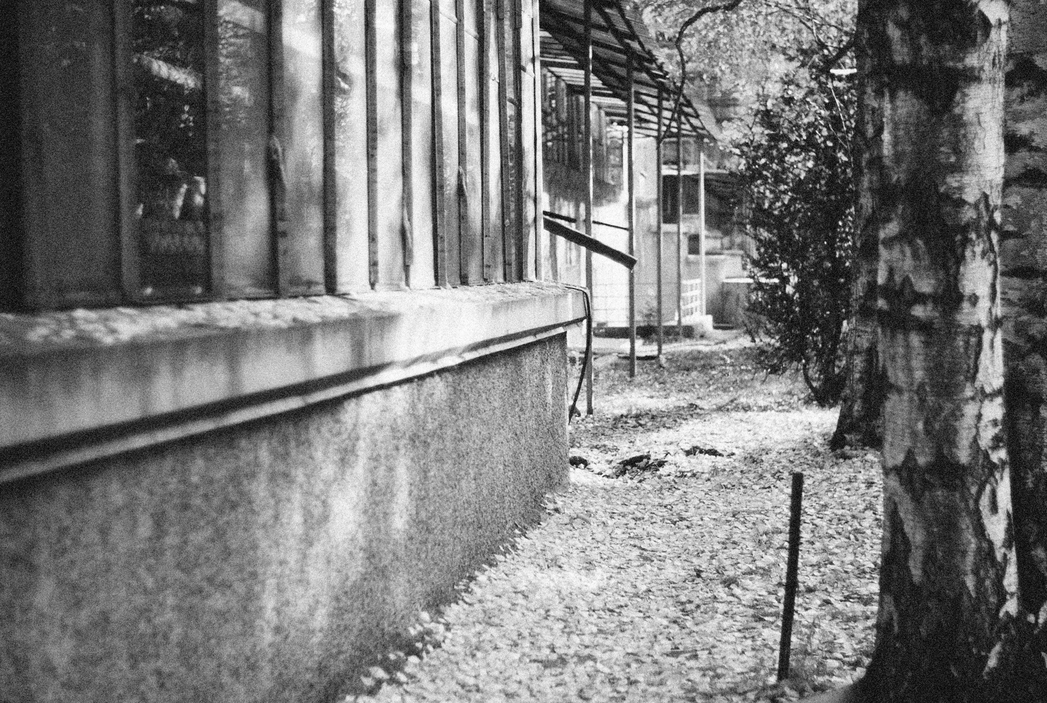 Photo by alexeydemidov