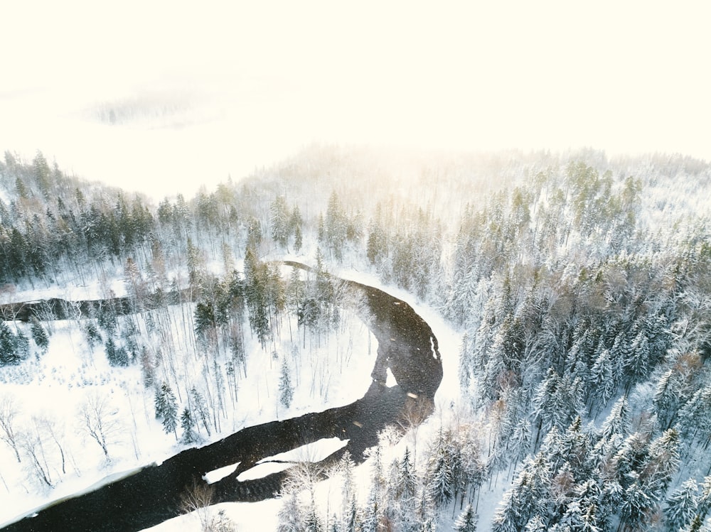 an aerial view of a road in the middle of a snowy forest