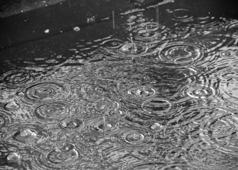 a black and white photo of raindrops in a puddle