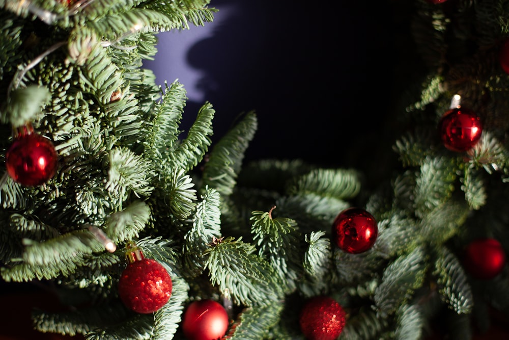 Ein Weihnachtsbaum