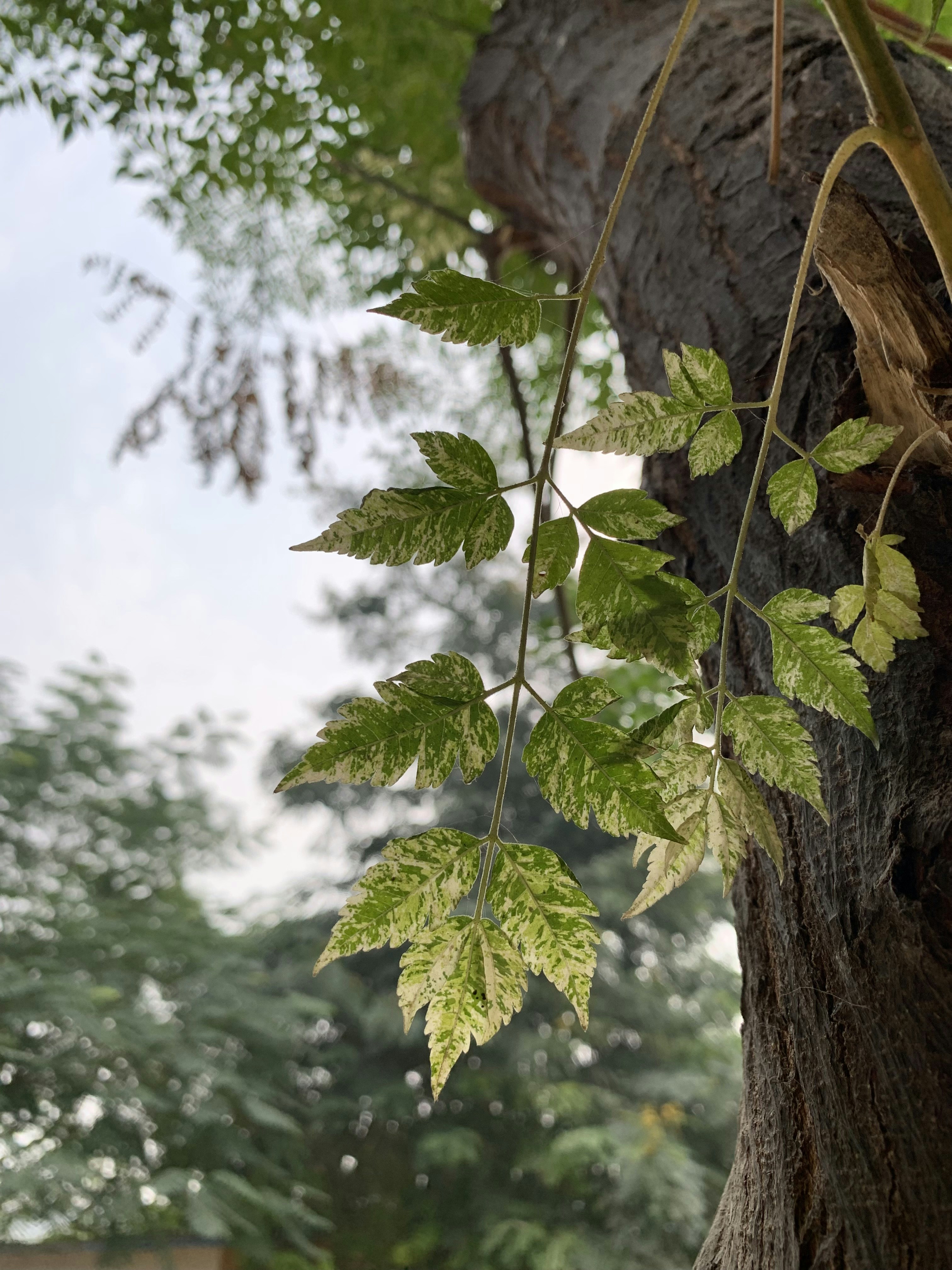 Photo by parikshit74