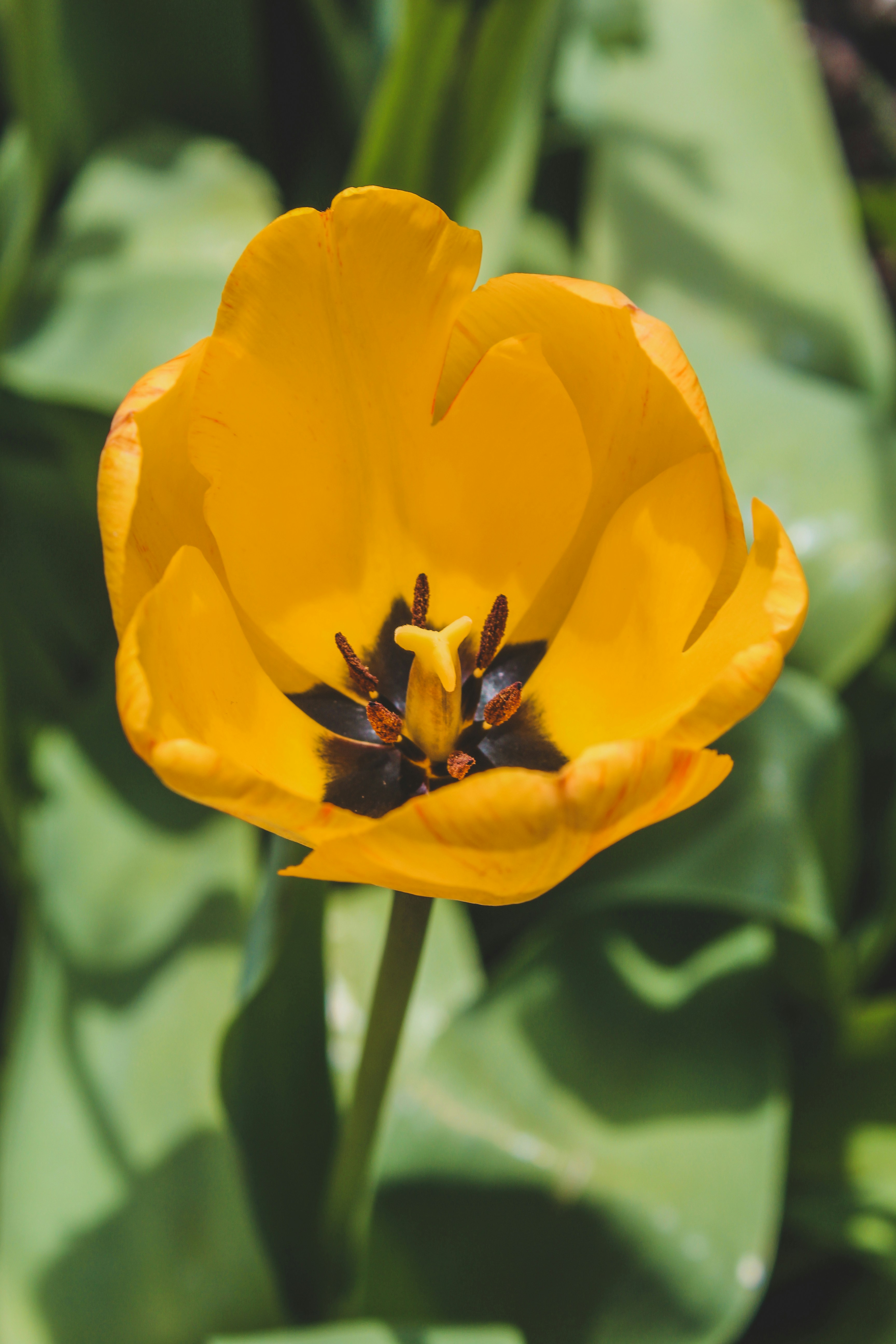 Photo by czapp_arpad