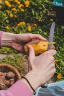 Hands are shown peeling a potato with a knife. The background features green foliage with scattered yellow flowers, possibly dandelions. In the lower left corner, a basket contains several unpeeled potatoes.