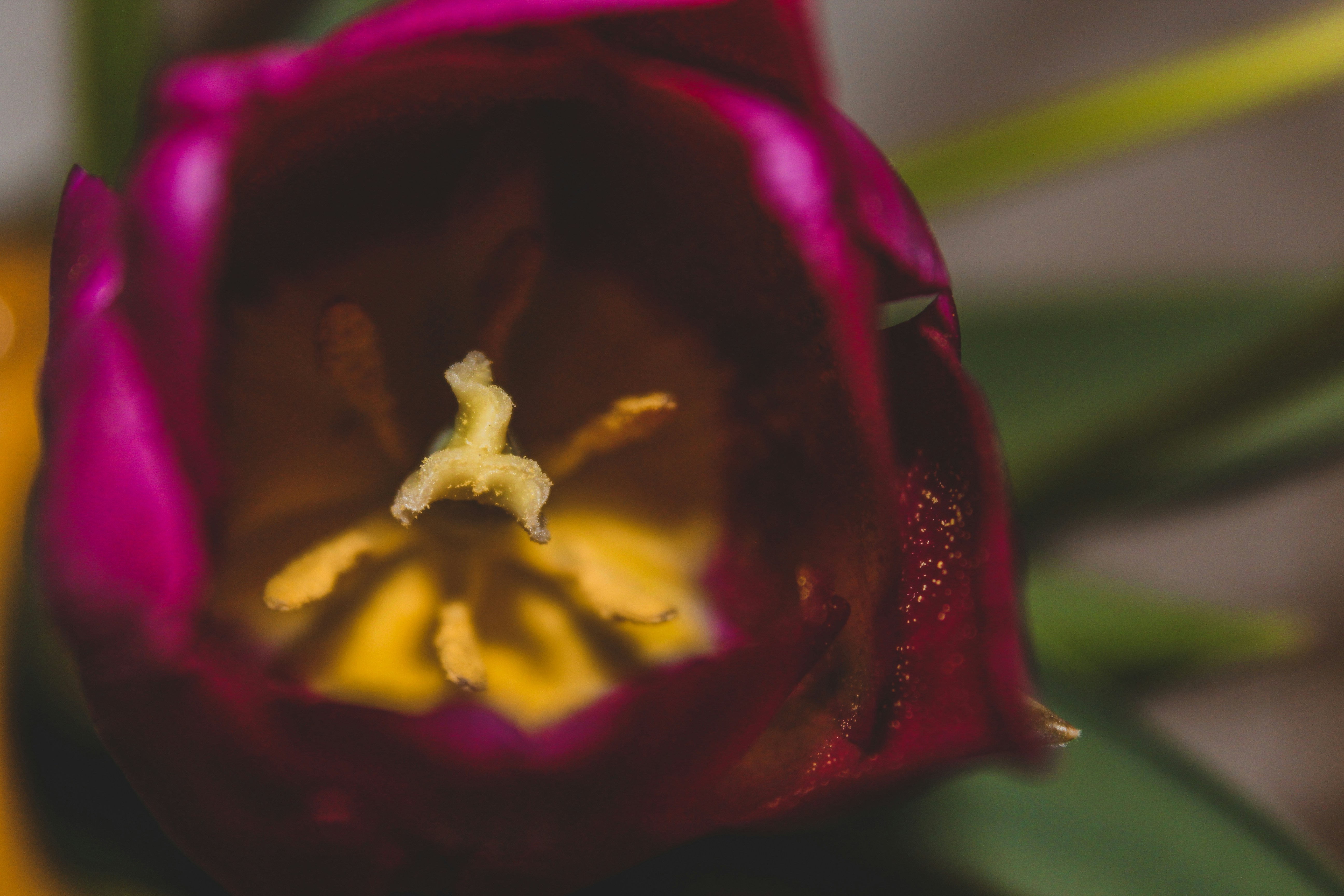 Photo by czapp_arpad