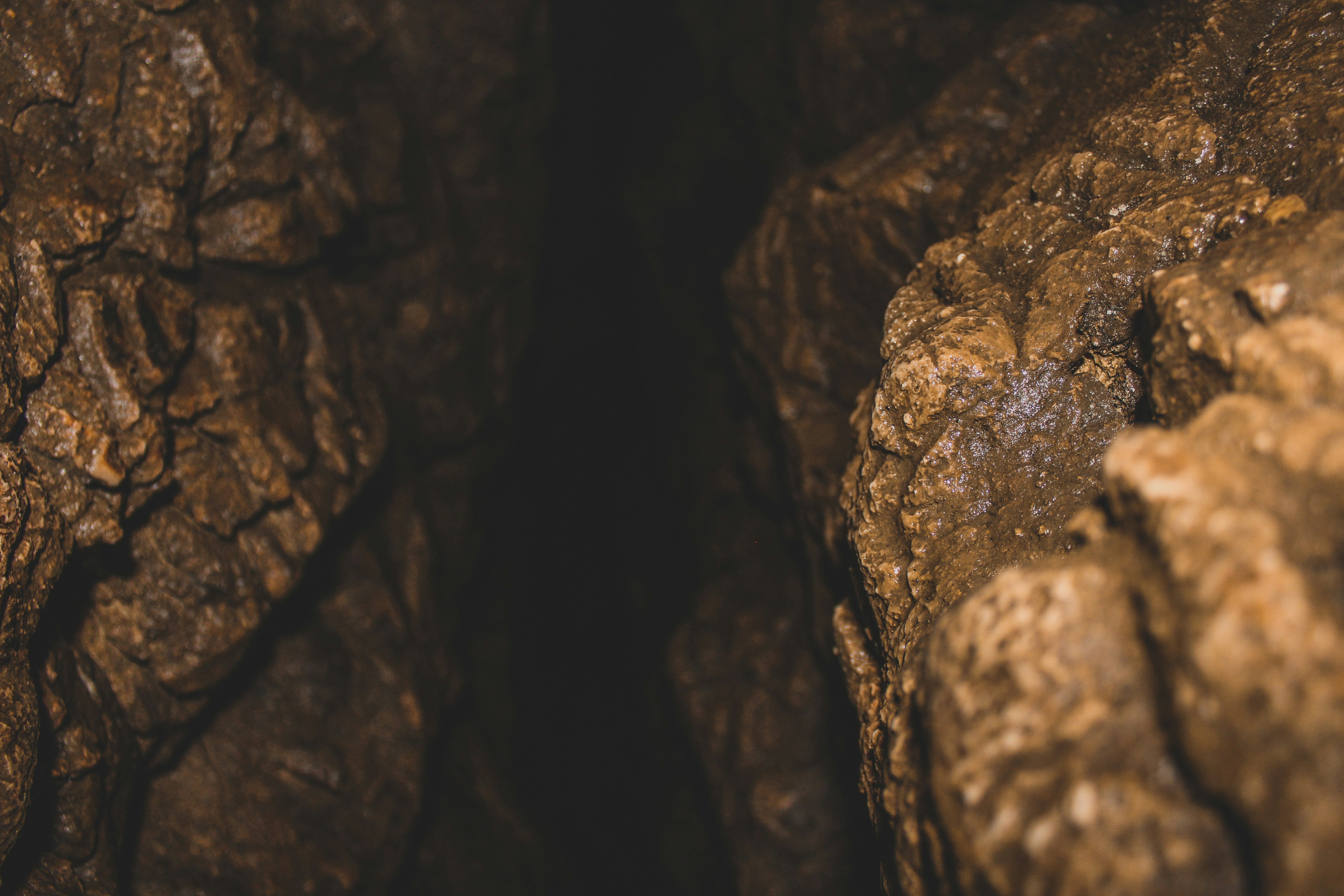 Photo by czapp_arpad