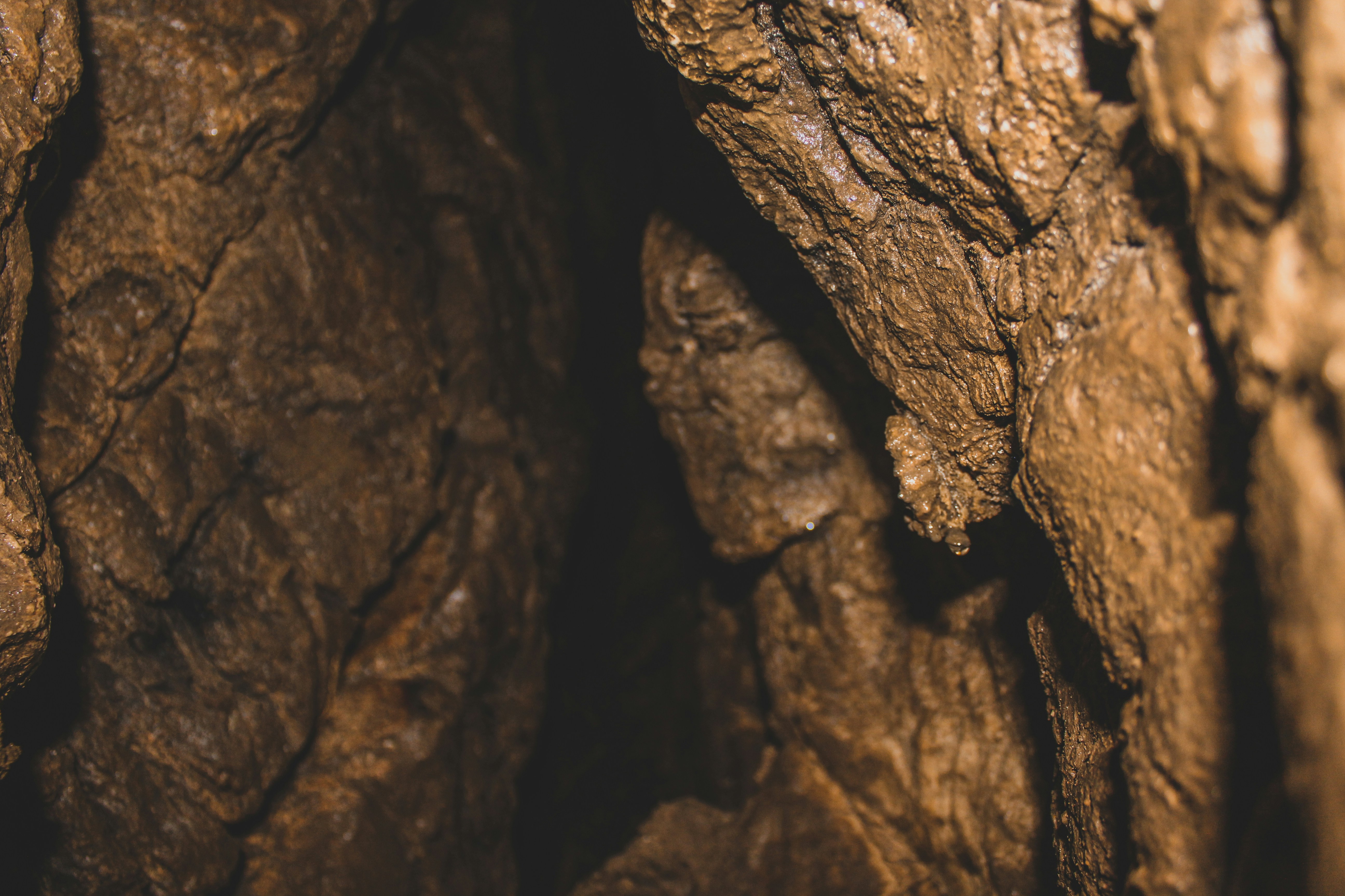 Photo by czapp_arpad