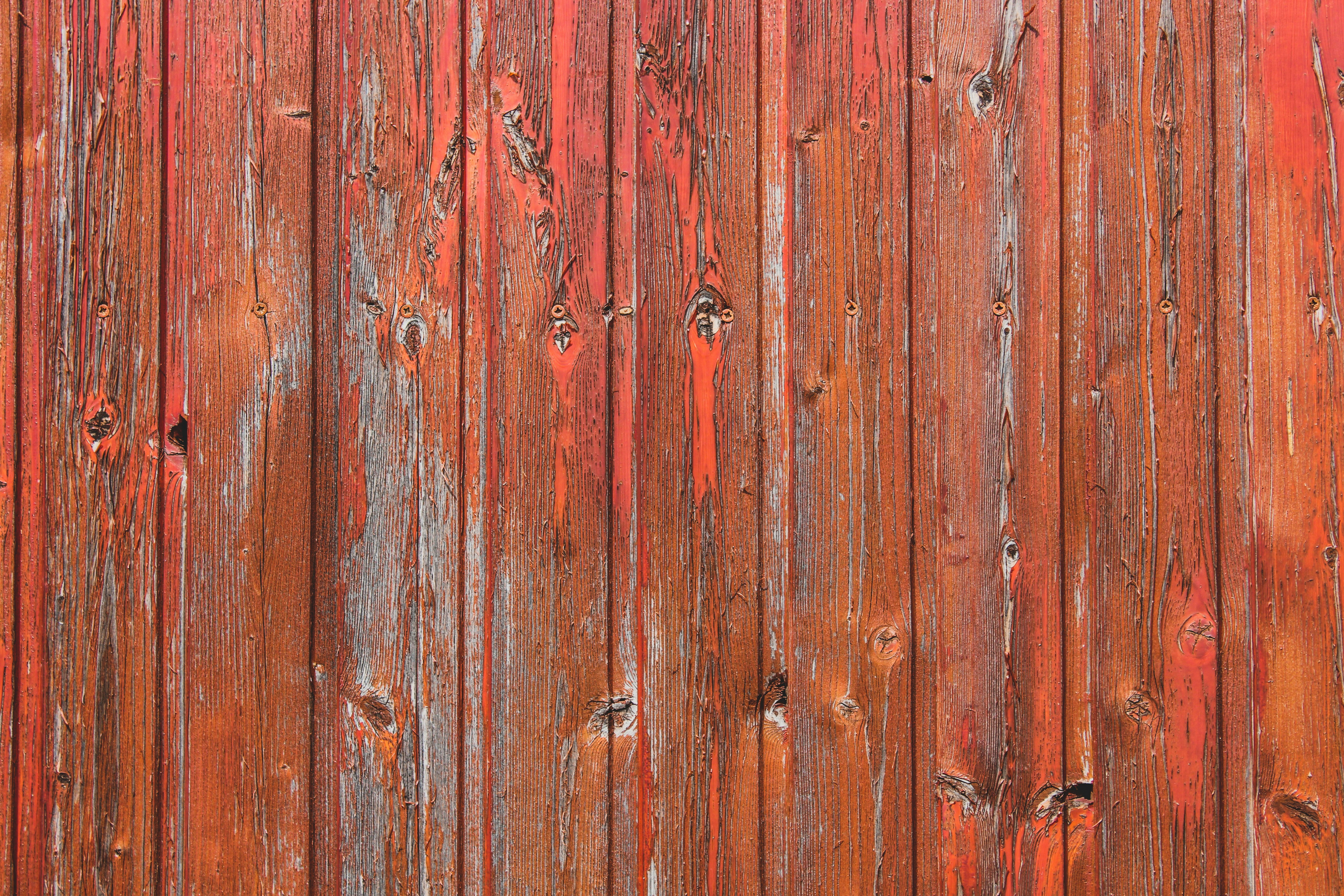 Photo by czapp_arpad