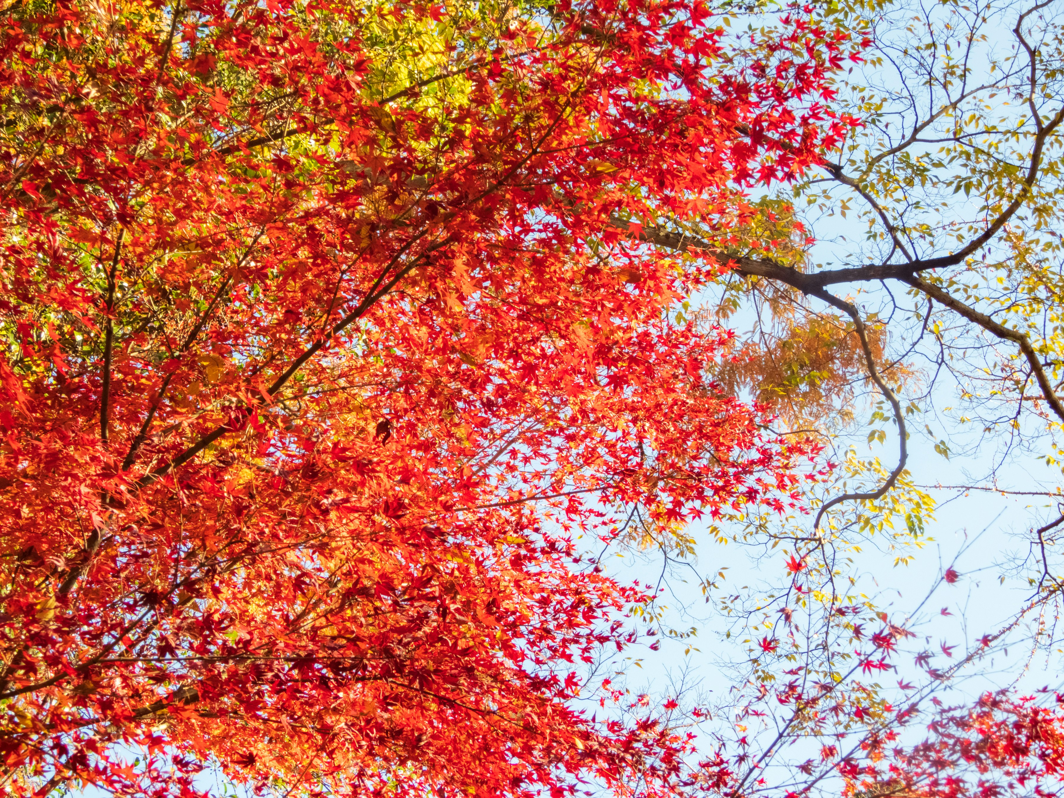 Photo by heppoko_yama