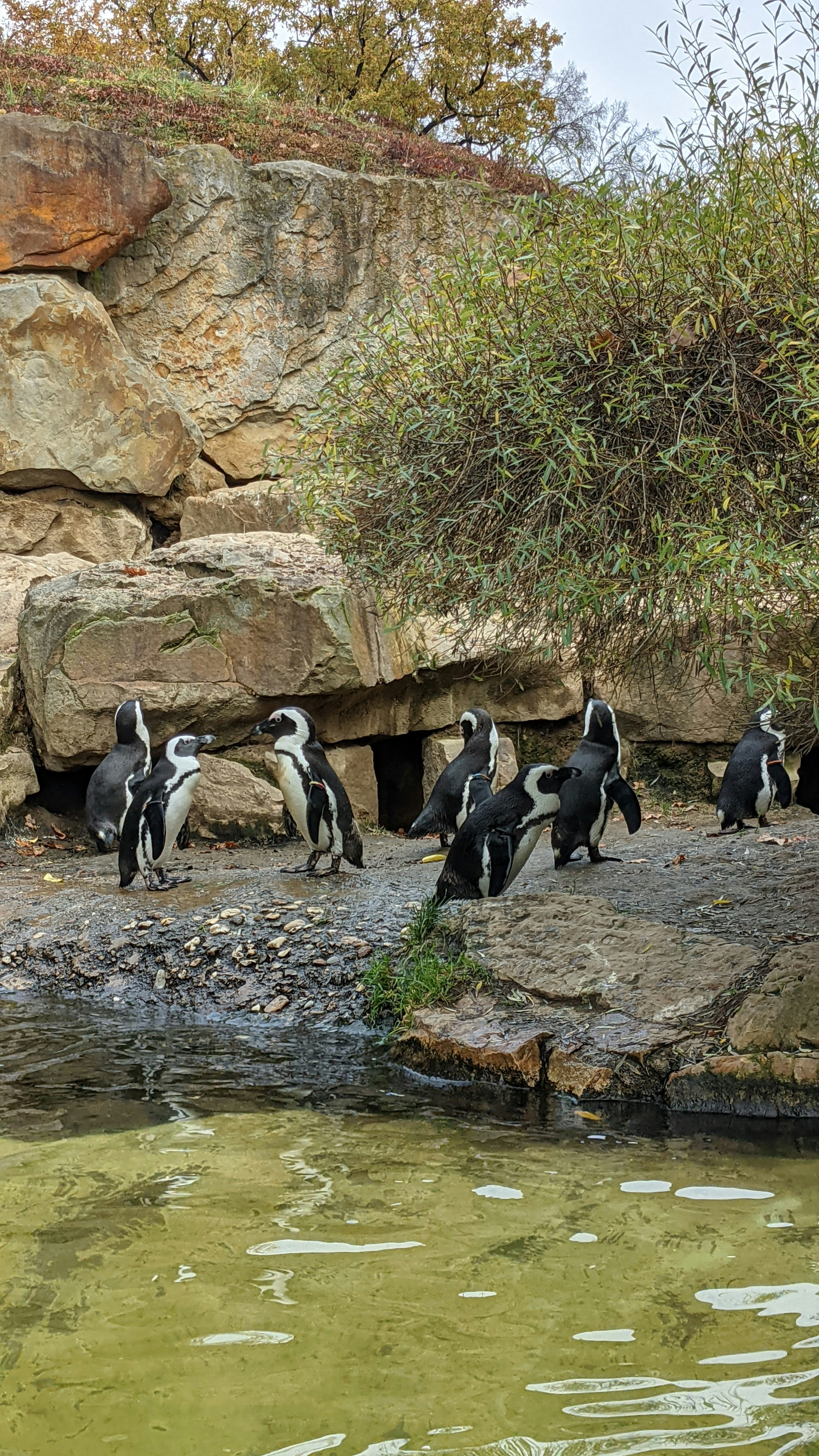 Technology Integration That Feels Invisible (image credits: unsplash)