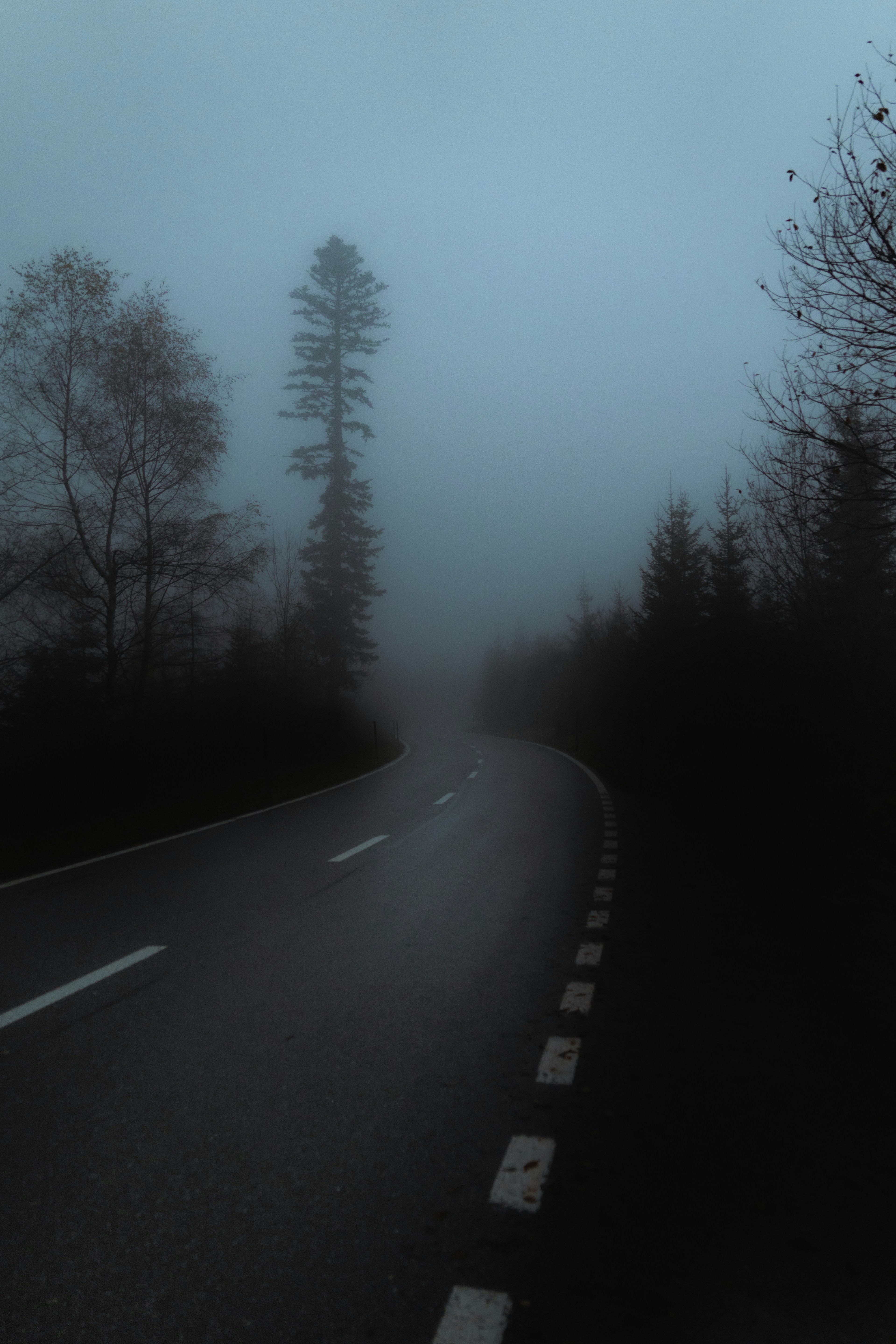 Photo by benaja_photos