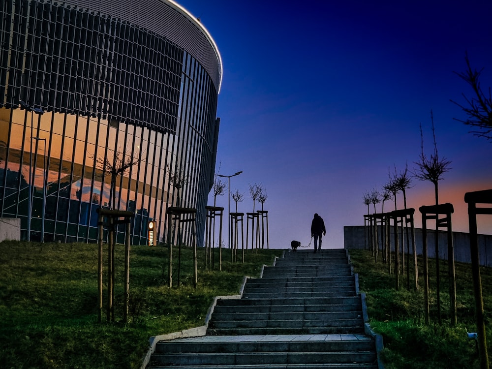 a person walking up a set of stairs in front of a building