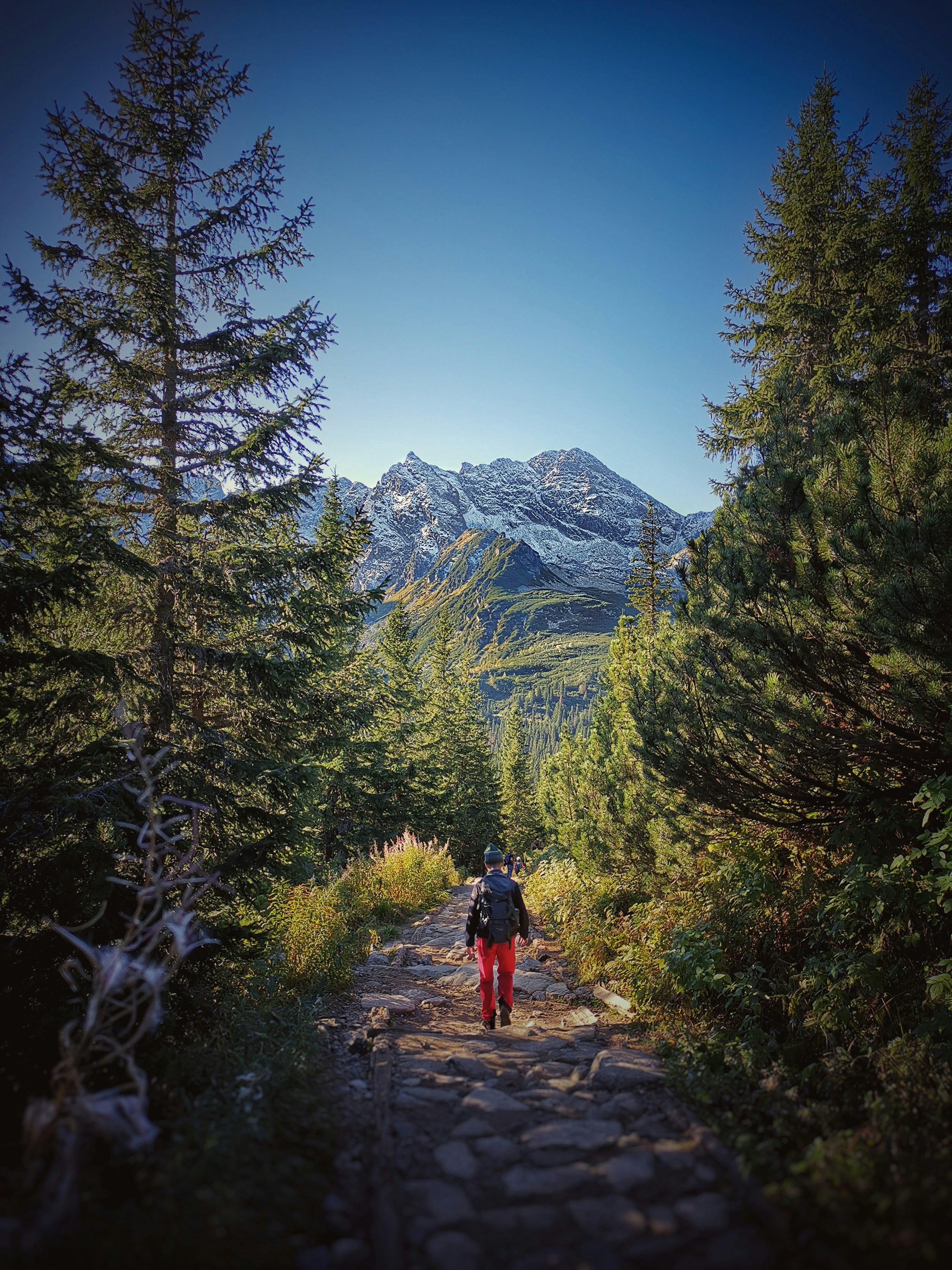 Photo by andrewmcmachnik