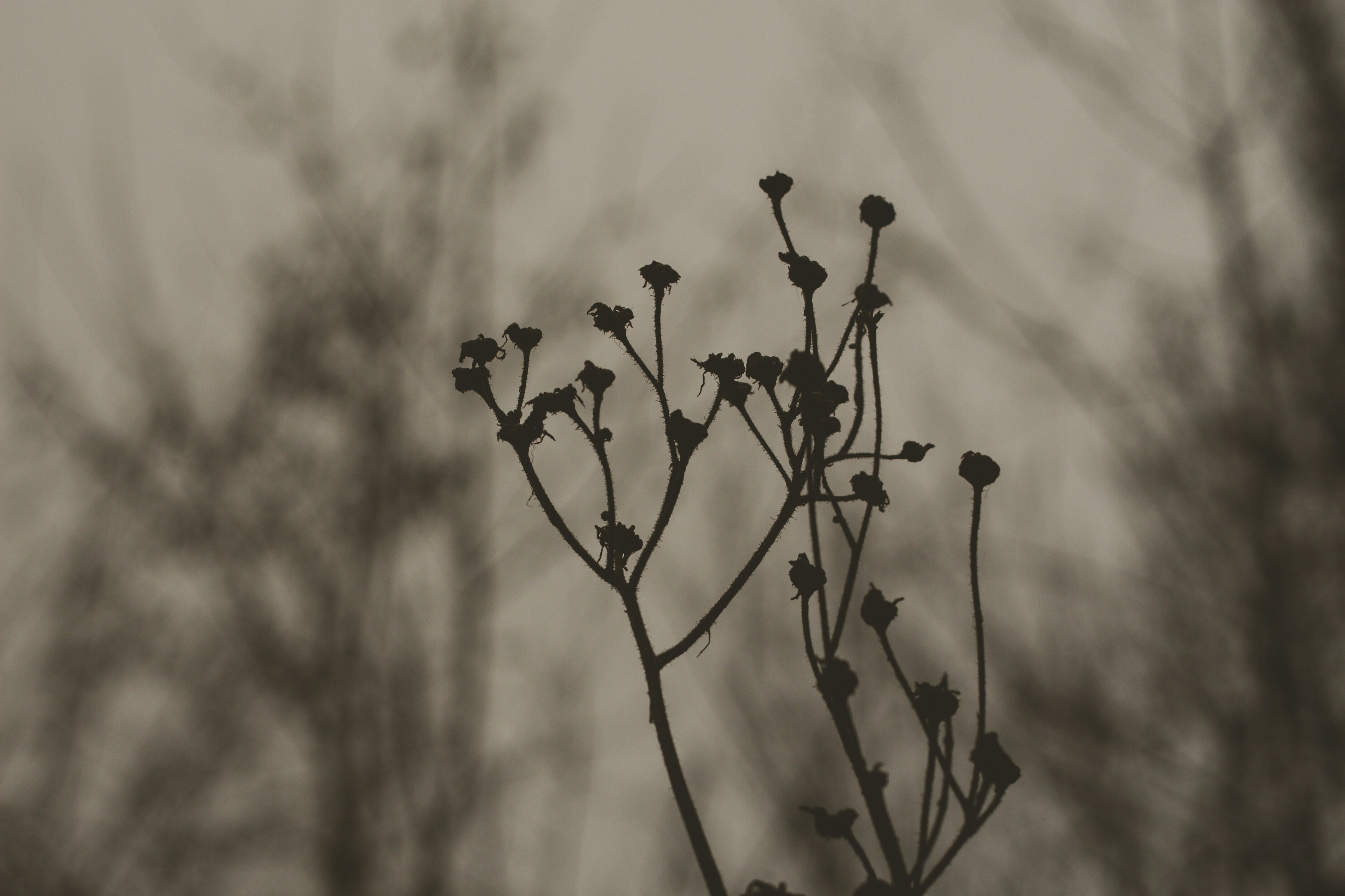 Photo by elizabethokok