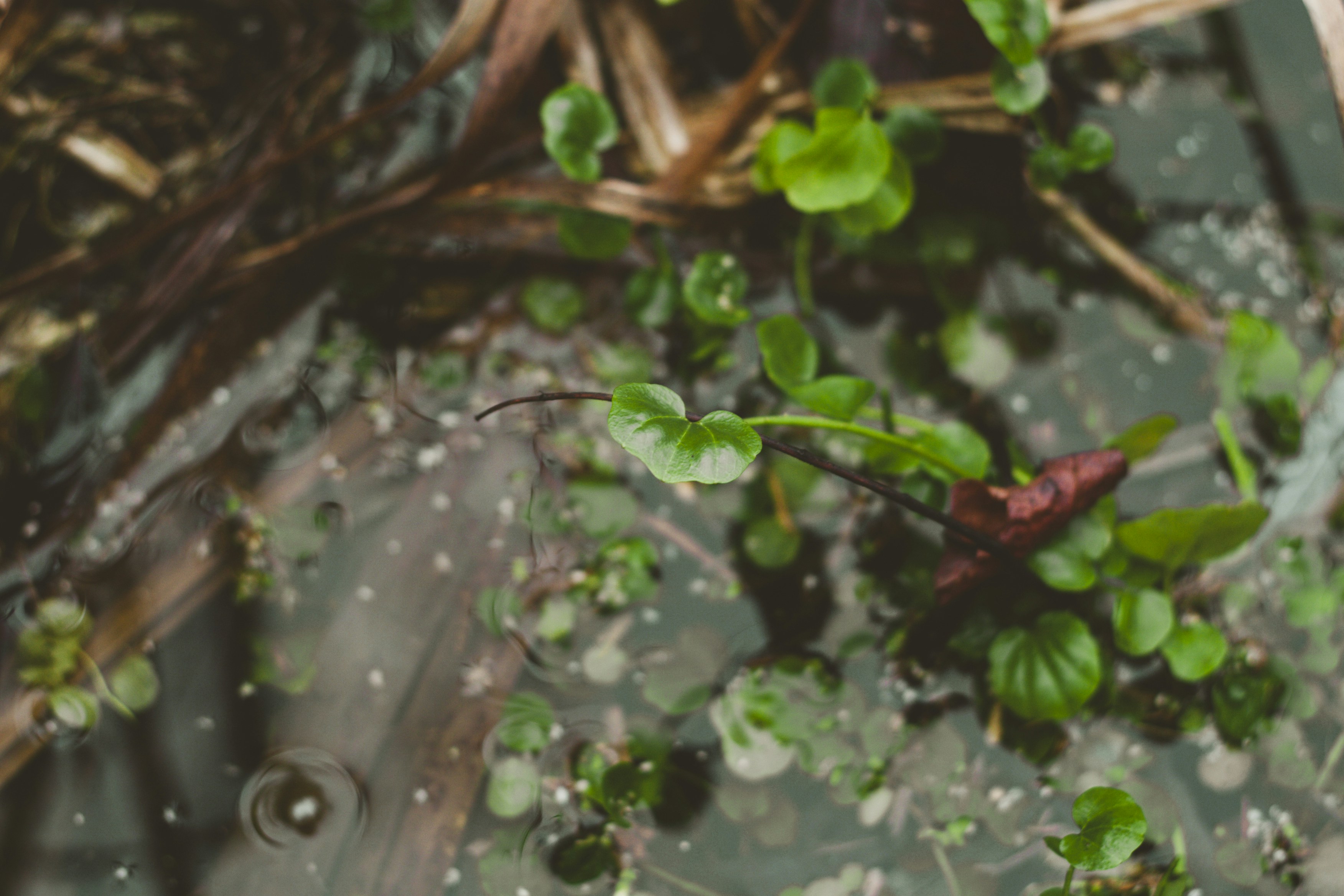 Photo by elizabethokok