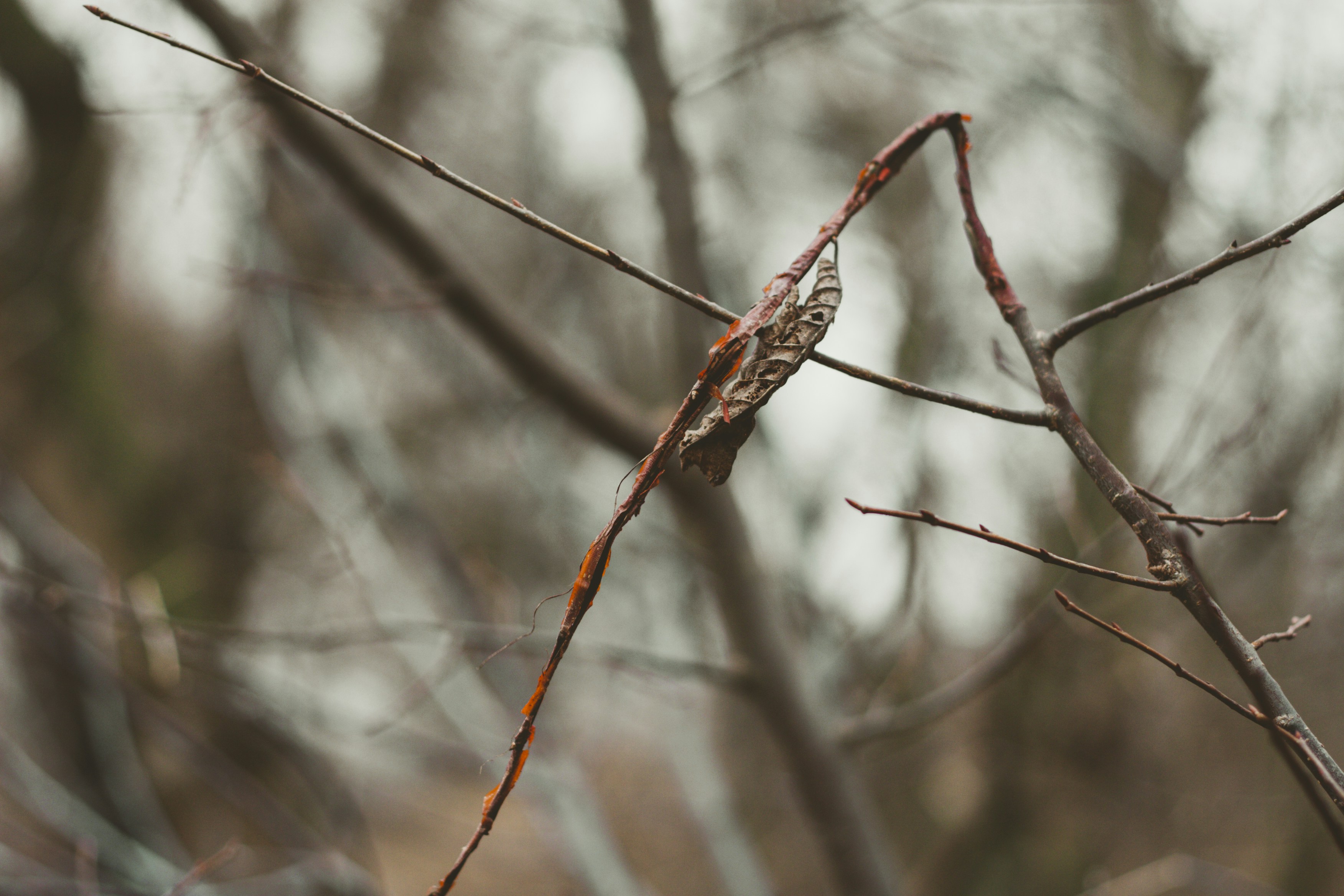 Photo by elizabethokok