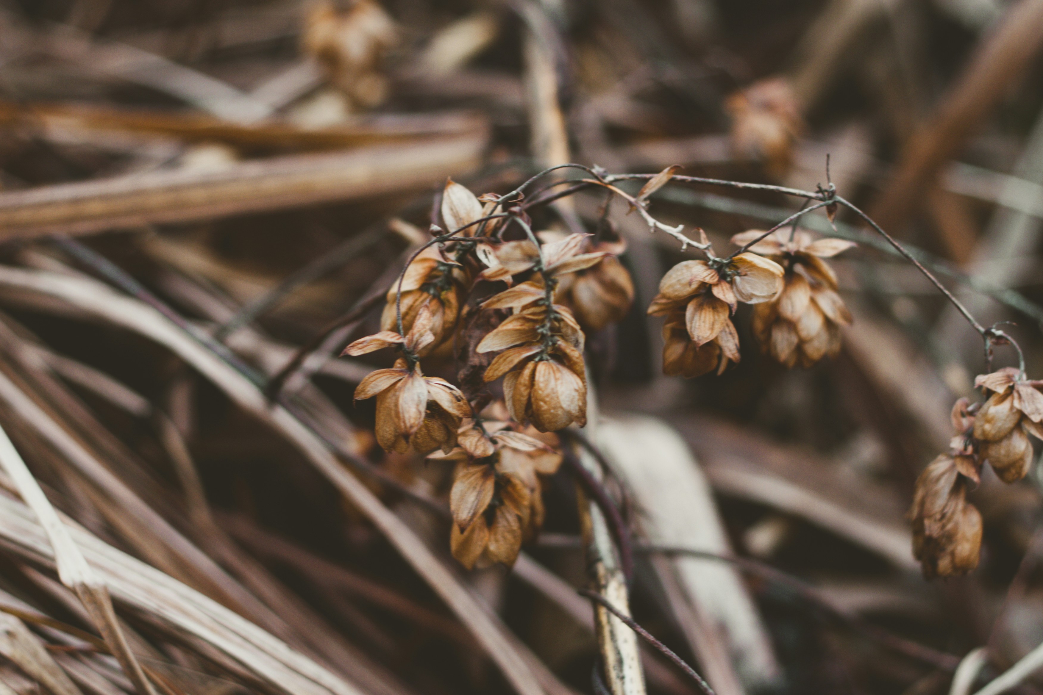 Photo by elizabethokok