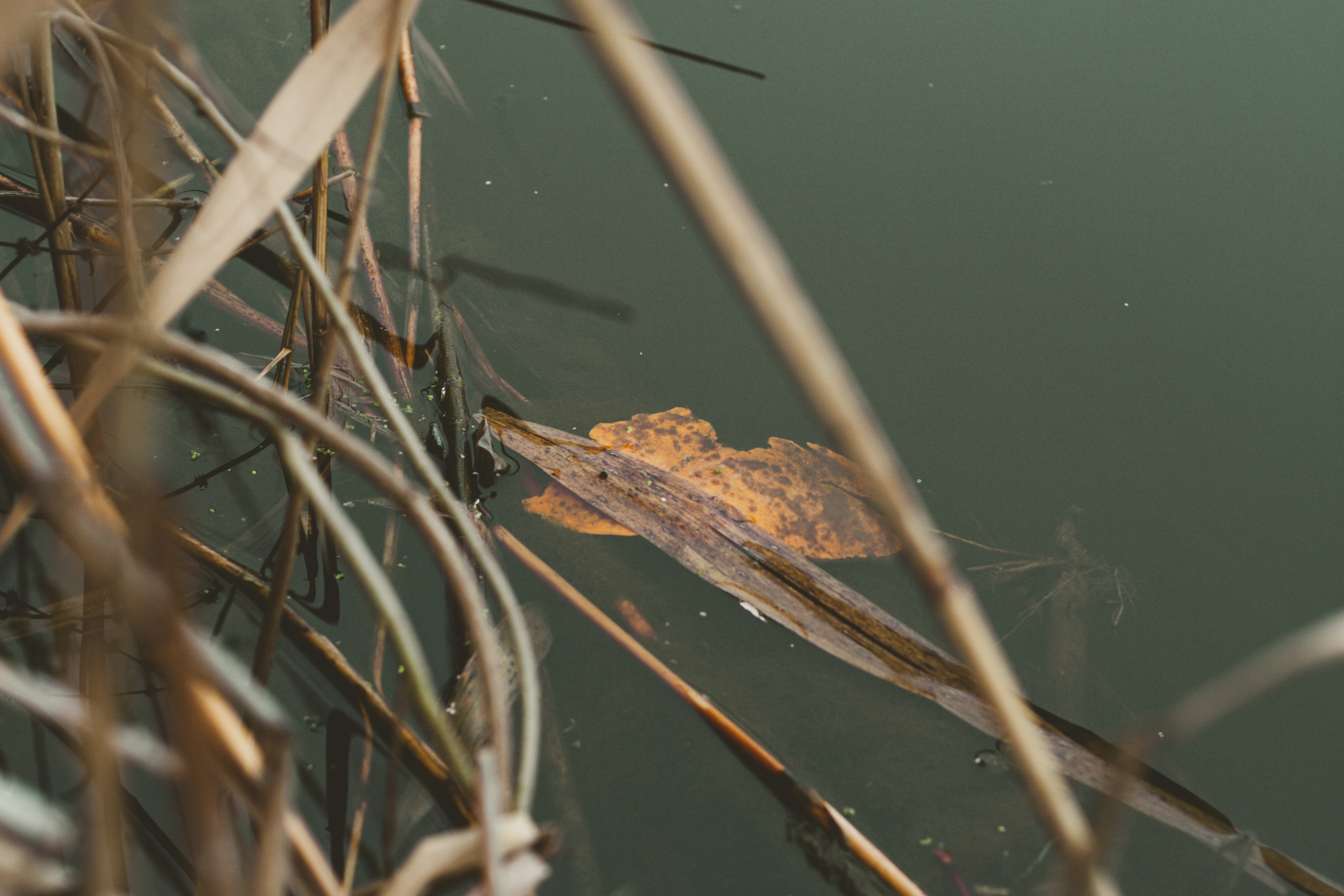 Photo by elizabethokok